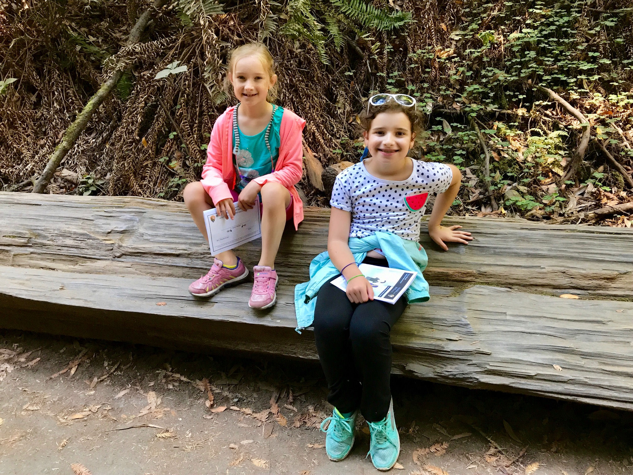 Kids sitting on a fallen tree along the Redwood Creek Trail