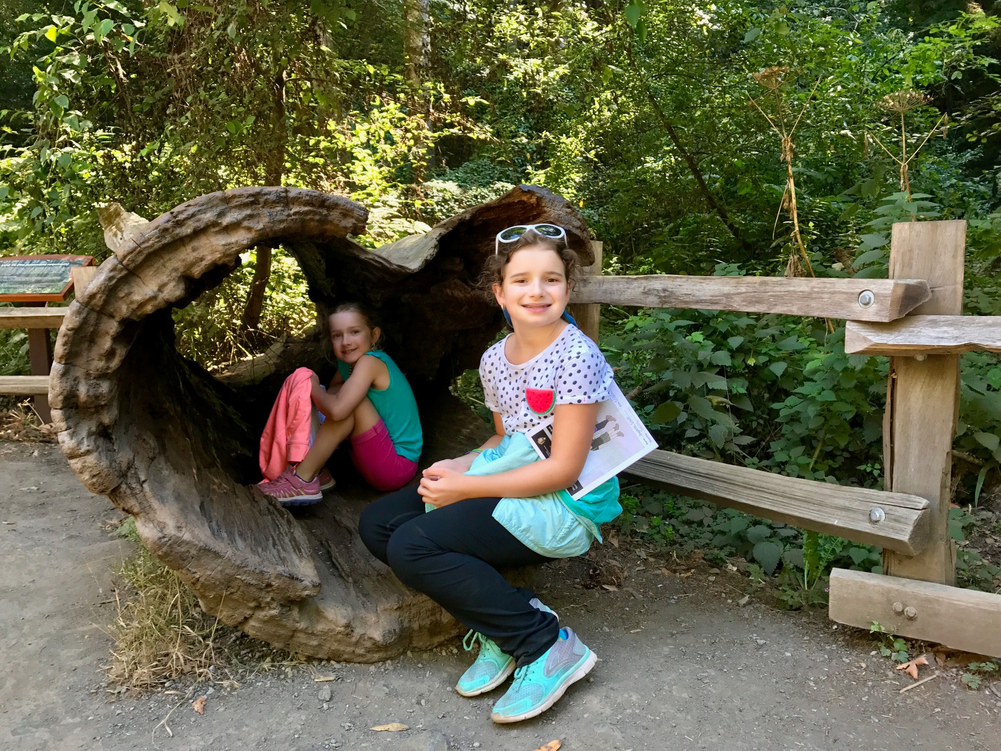 Girls in the trunk of a redwood tree