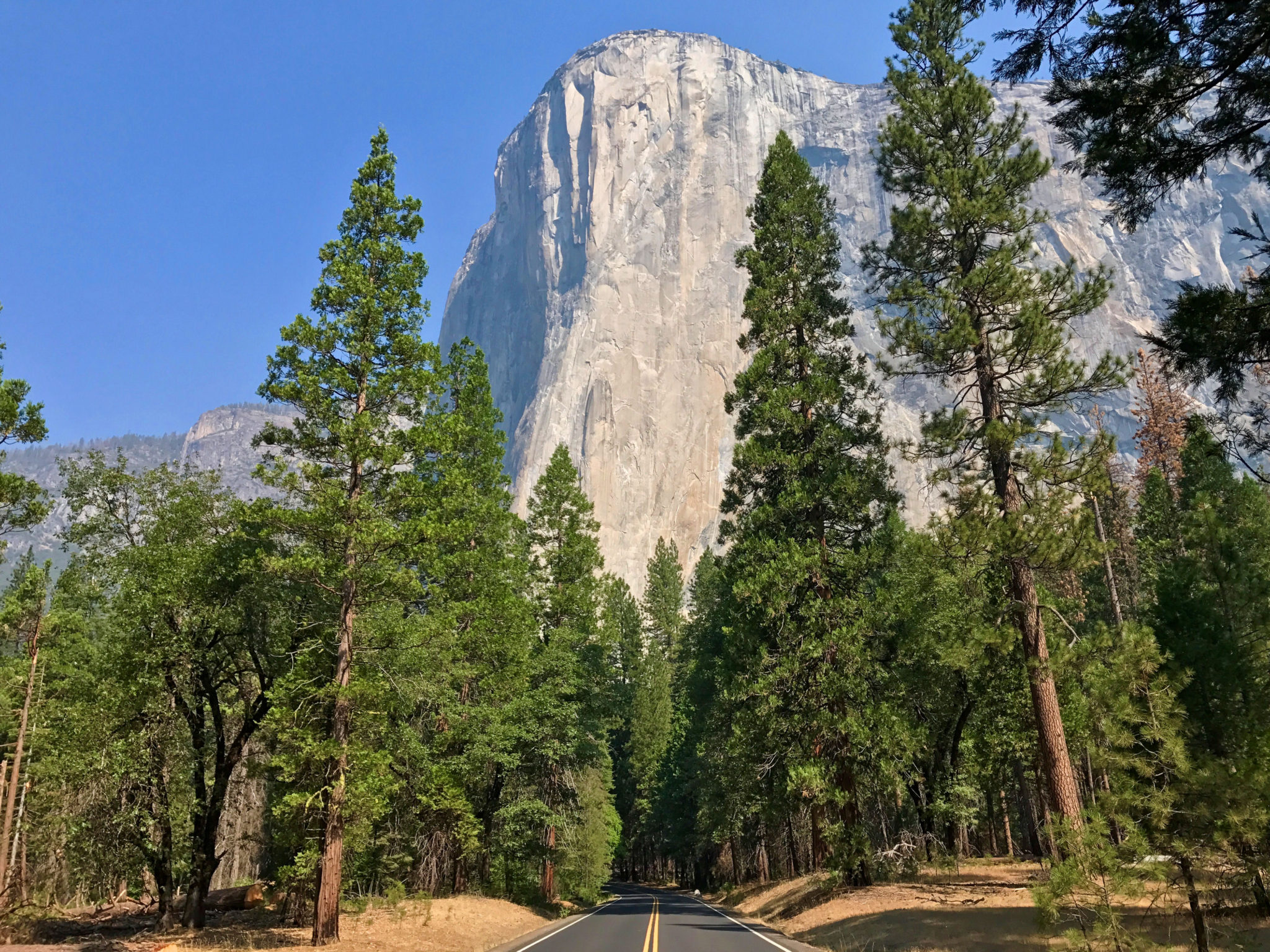El Capitan from Yosemite Valley