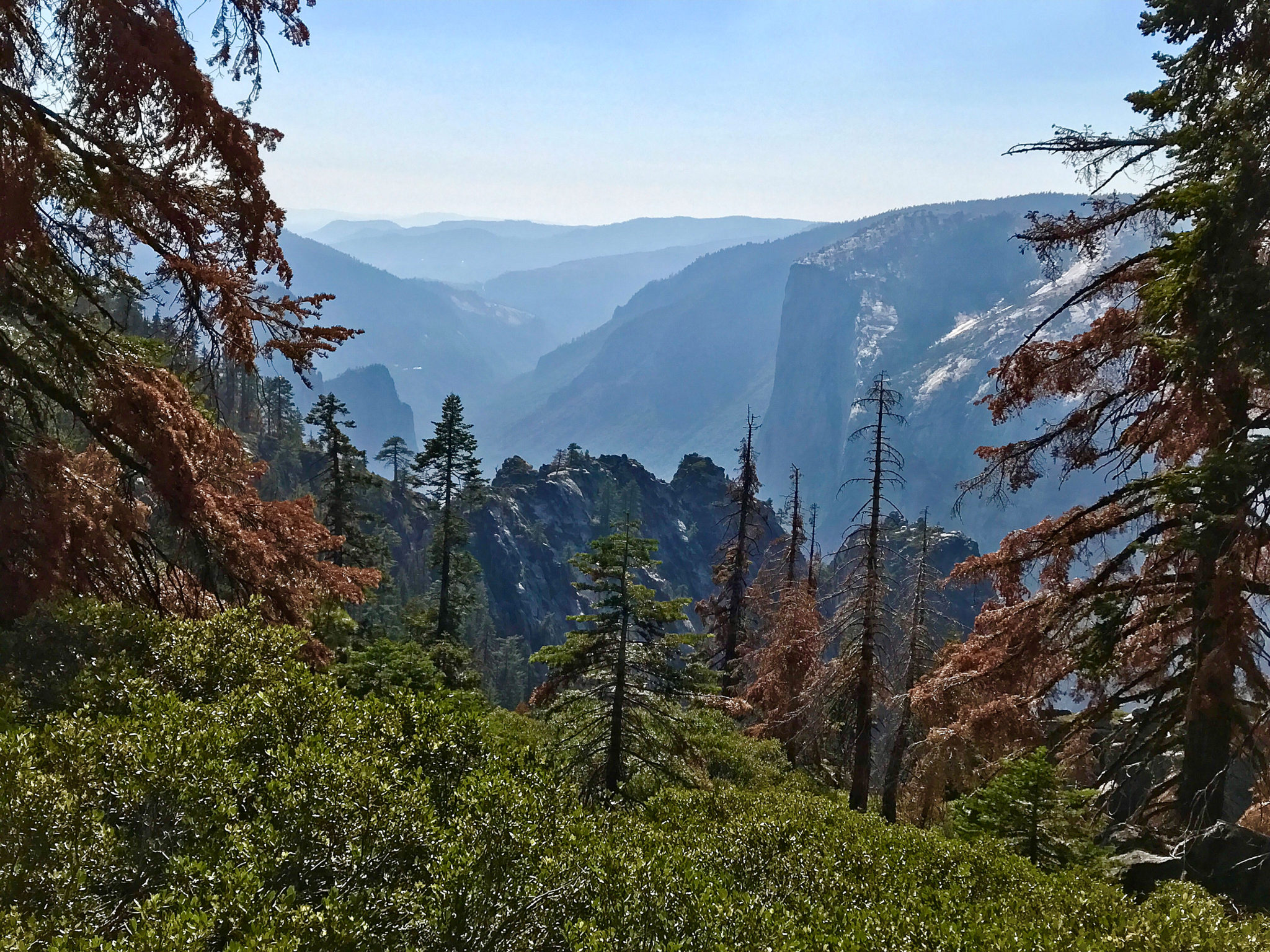 View of Yosemite Valley from Pohono Trail
