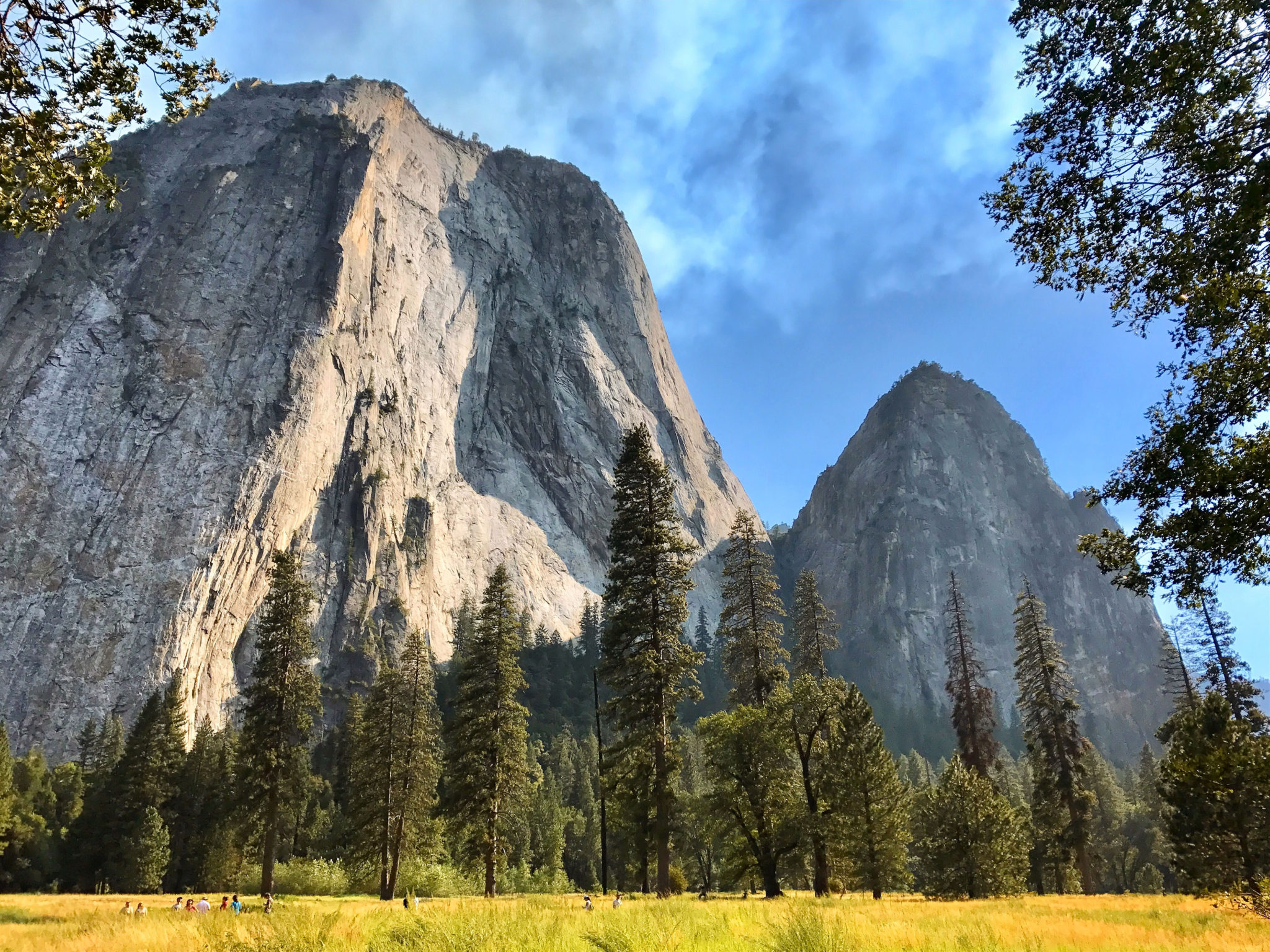 View of Yosemite Valley and Cathedral Rocks
