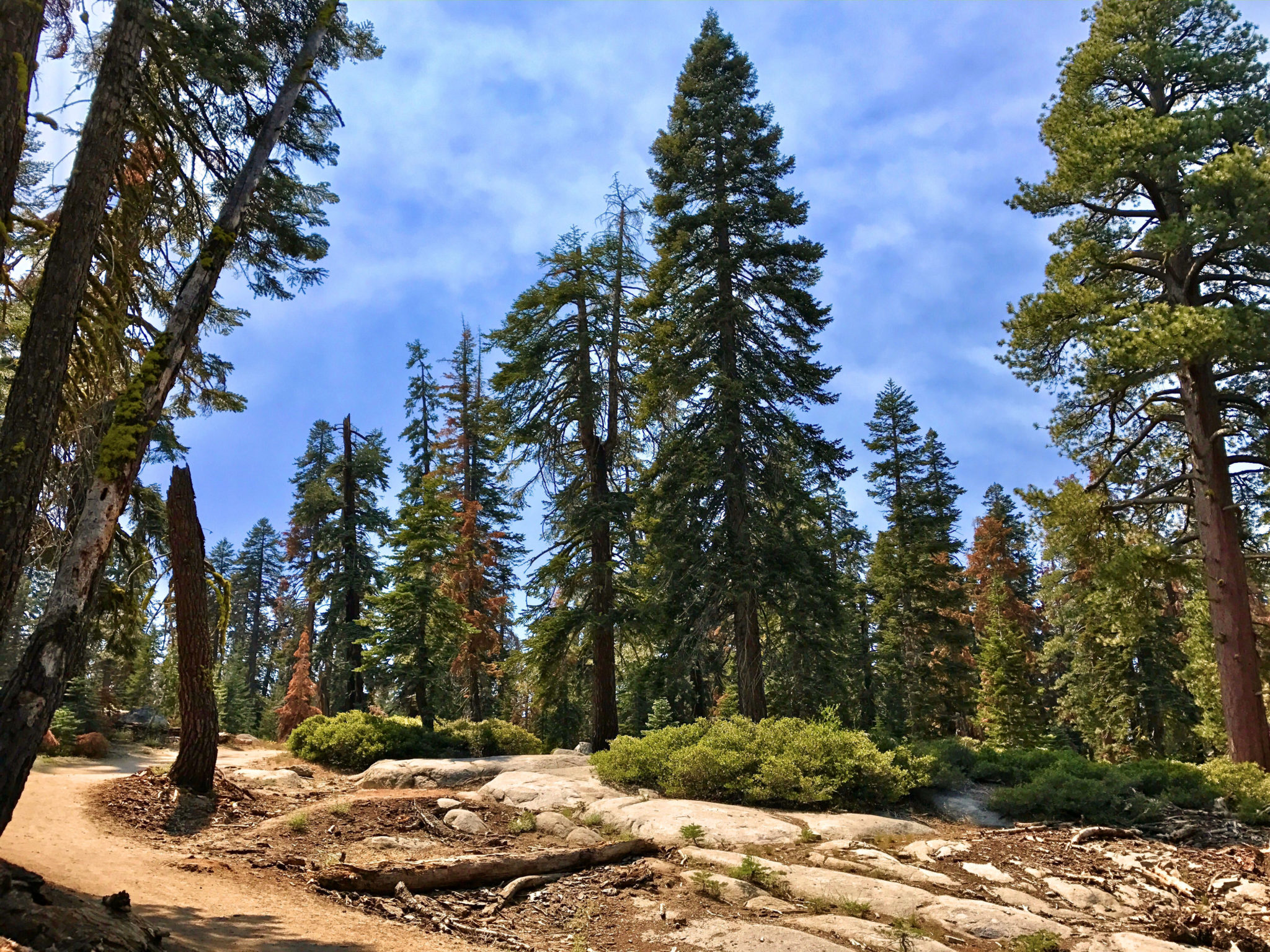 On the trail to Taft Point