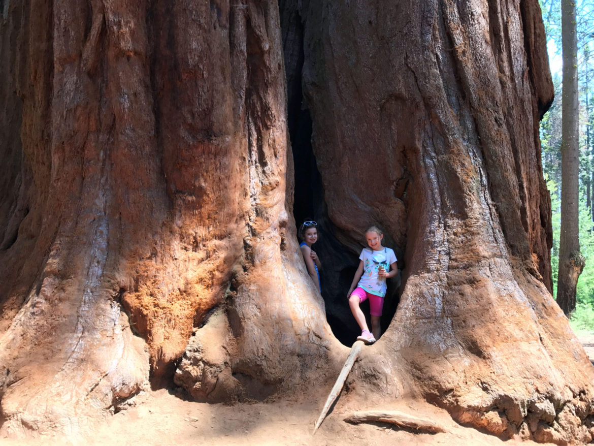 Kids at the Parker Group of giant Sequoias
