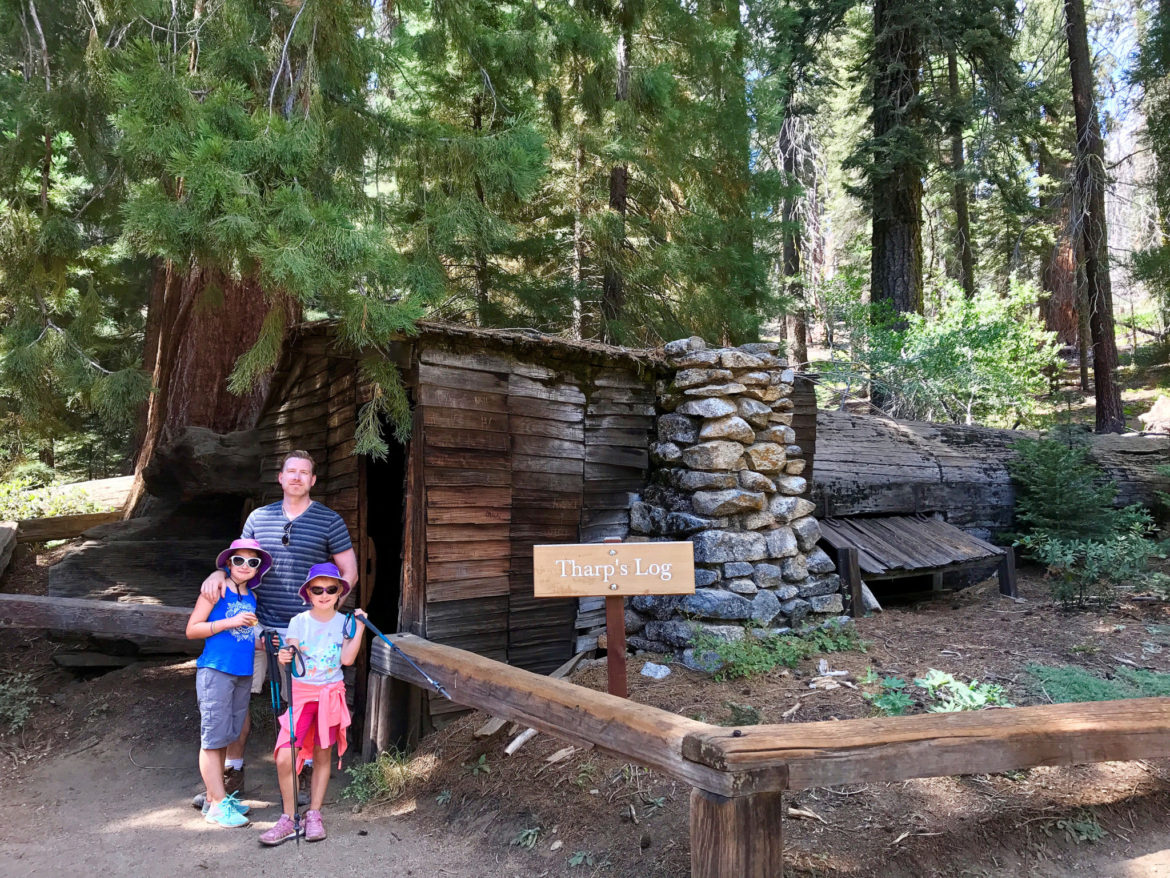 Tharp's Log in Sequoia National Park