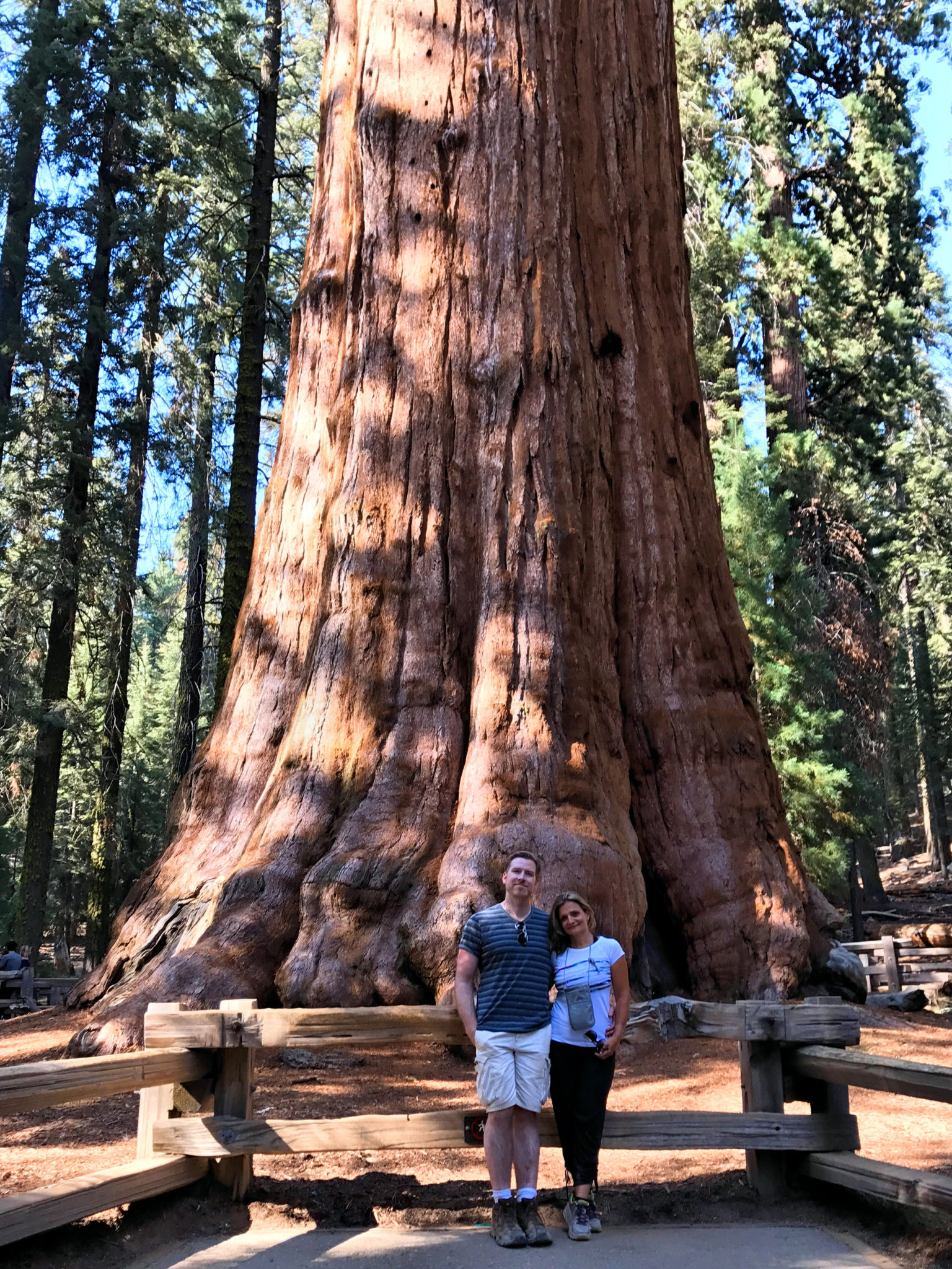 With General Sherman, the largest tree in the world by volume