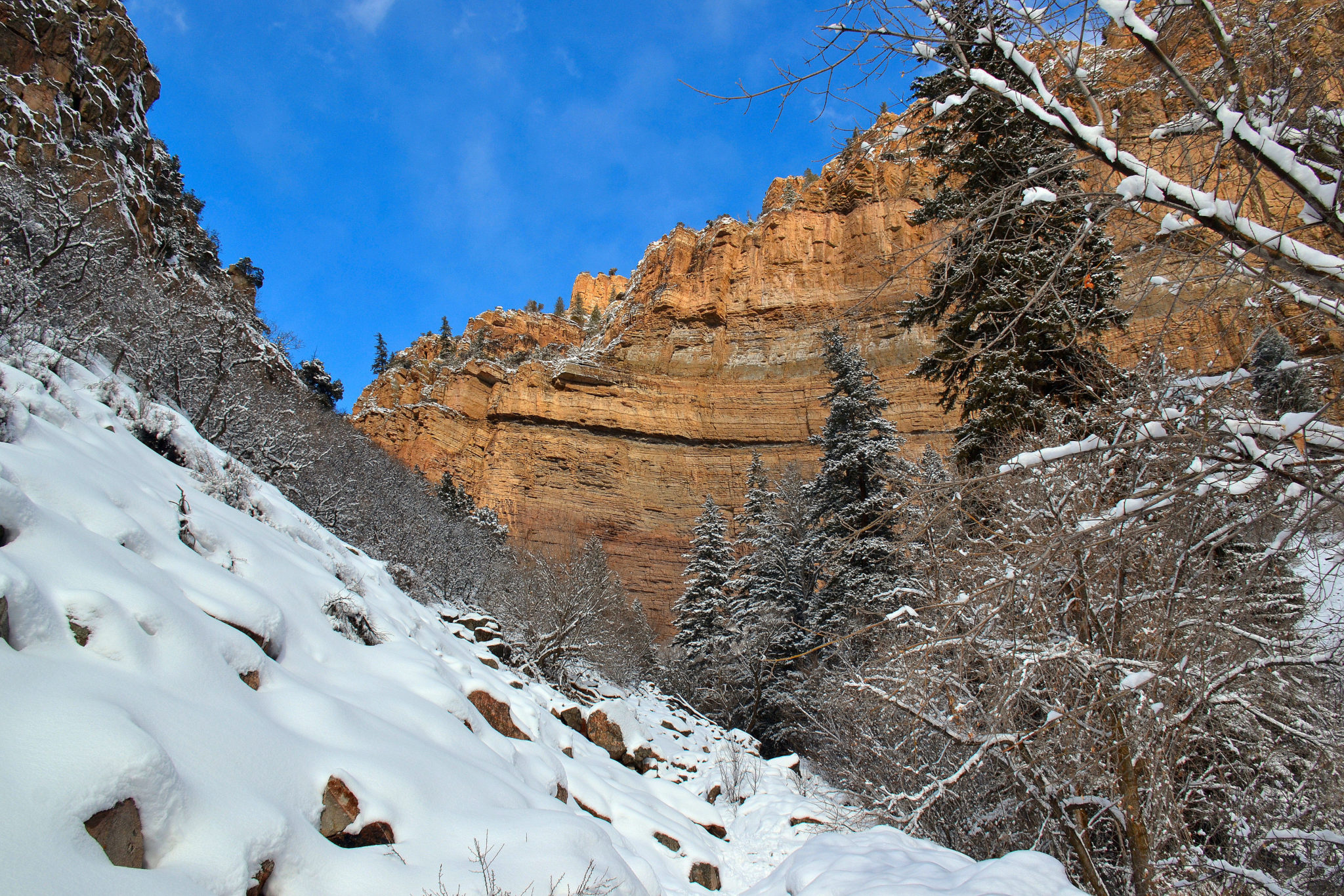 The walls of Glenwood Canyon seen from the trail