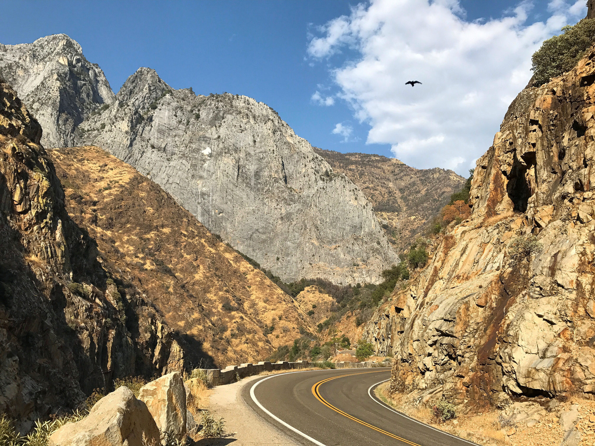View of the Kings Canyon Scenic Byway