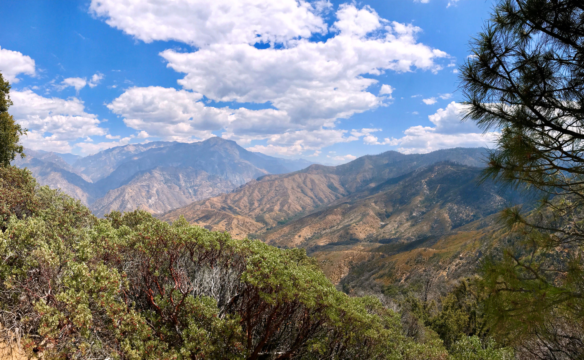 Panorama from Junction View along the Kings Canyon Scenic Byway