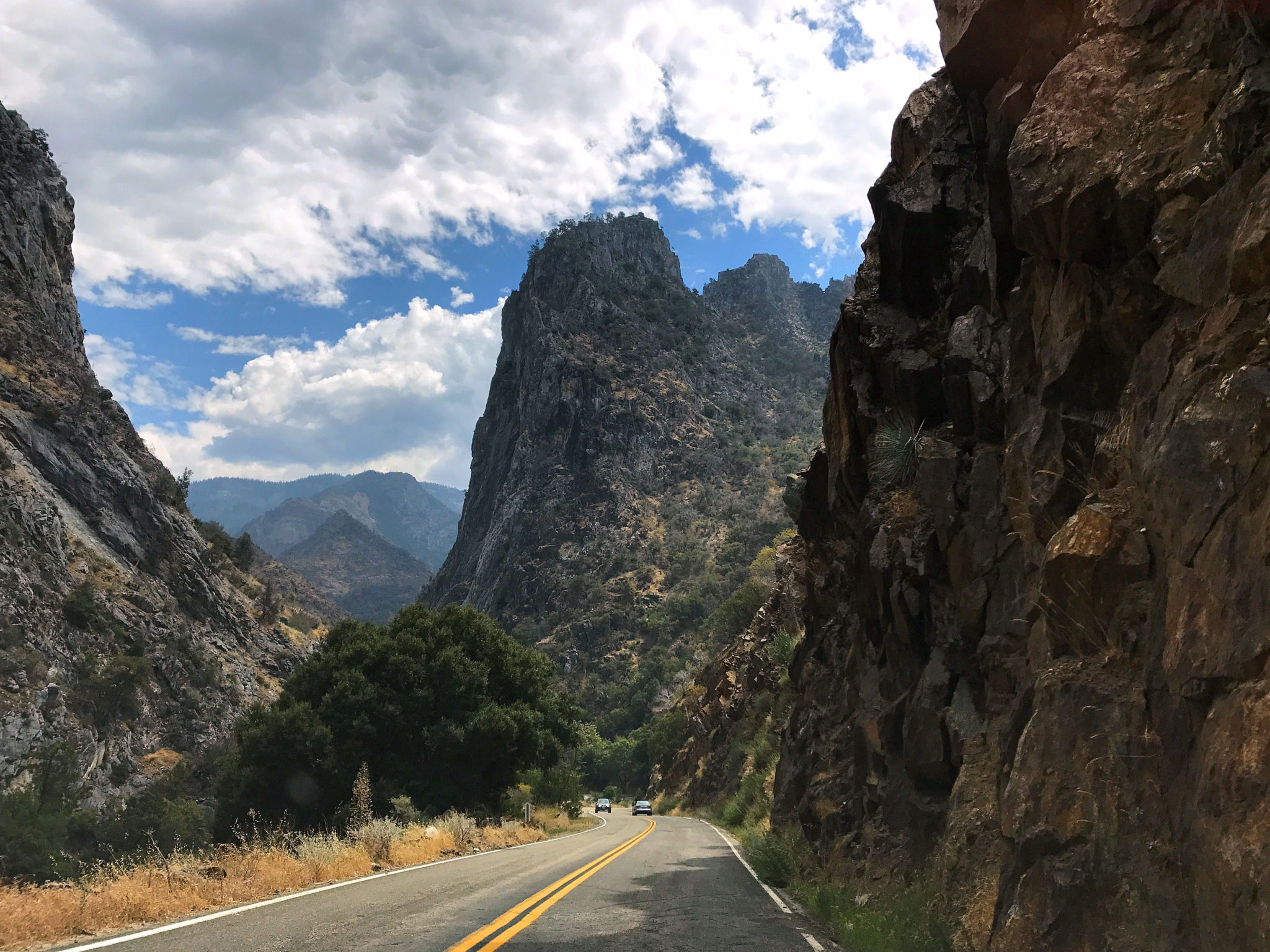 On the Kings Canyon Scenic Byway