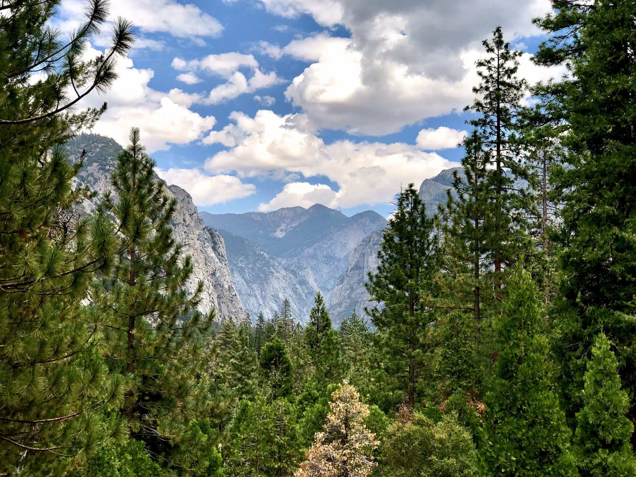 Kings Canyon from Canyon Viewpoint