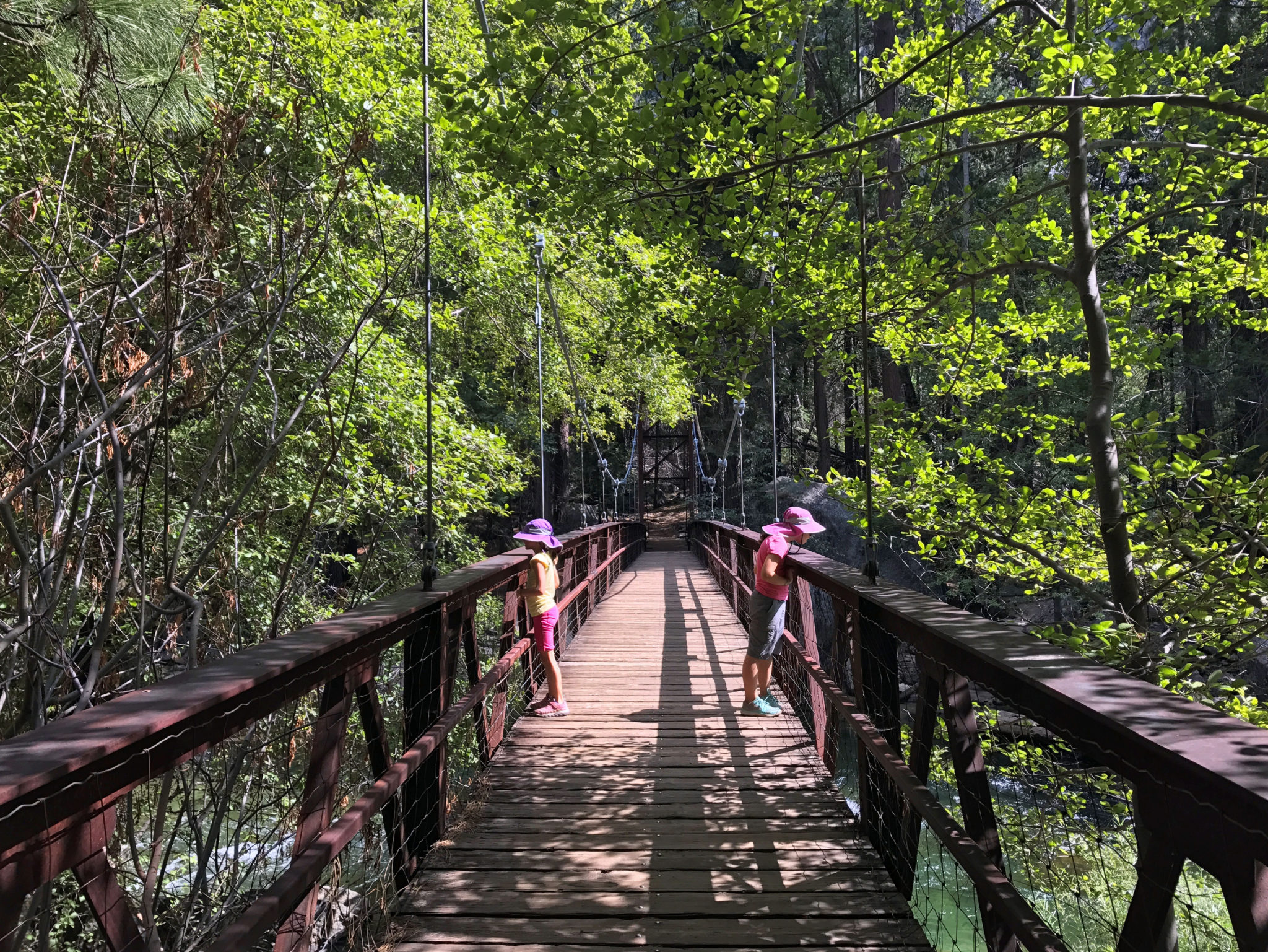 The bridge on Zumwalt Meadow Trail