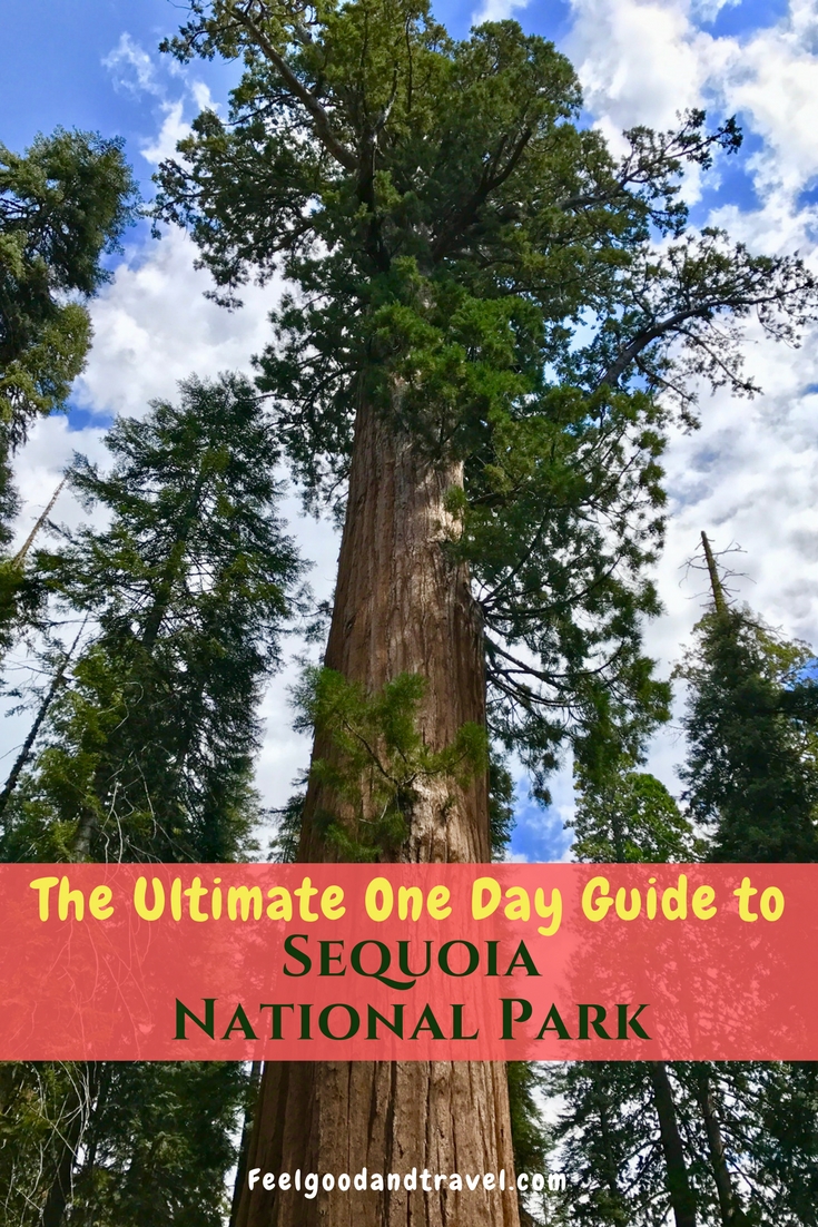 Sequoia National Park Pinterest