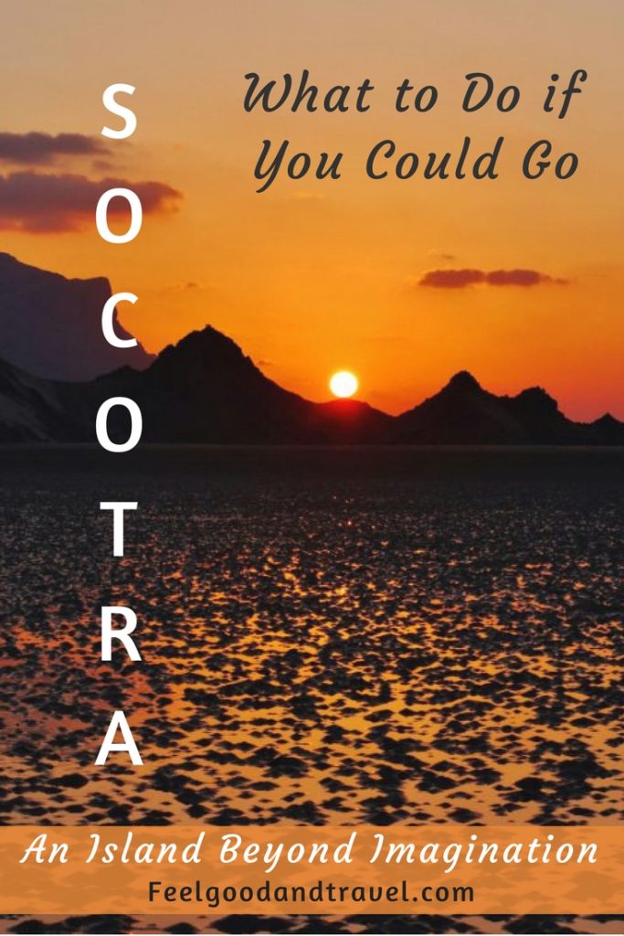 Socotra Island Pinterest