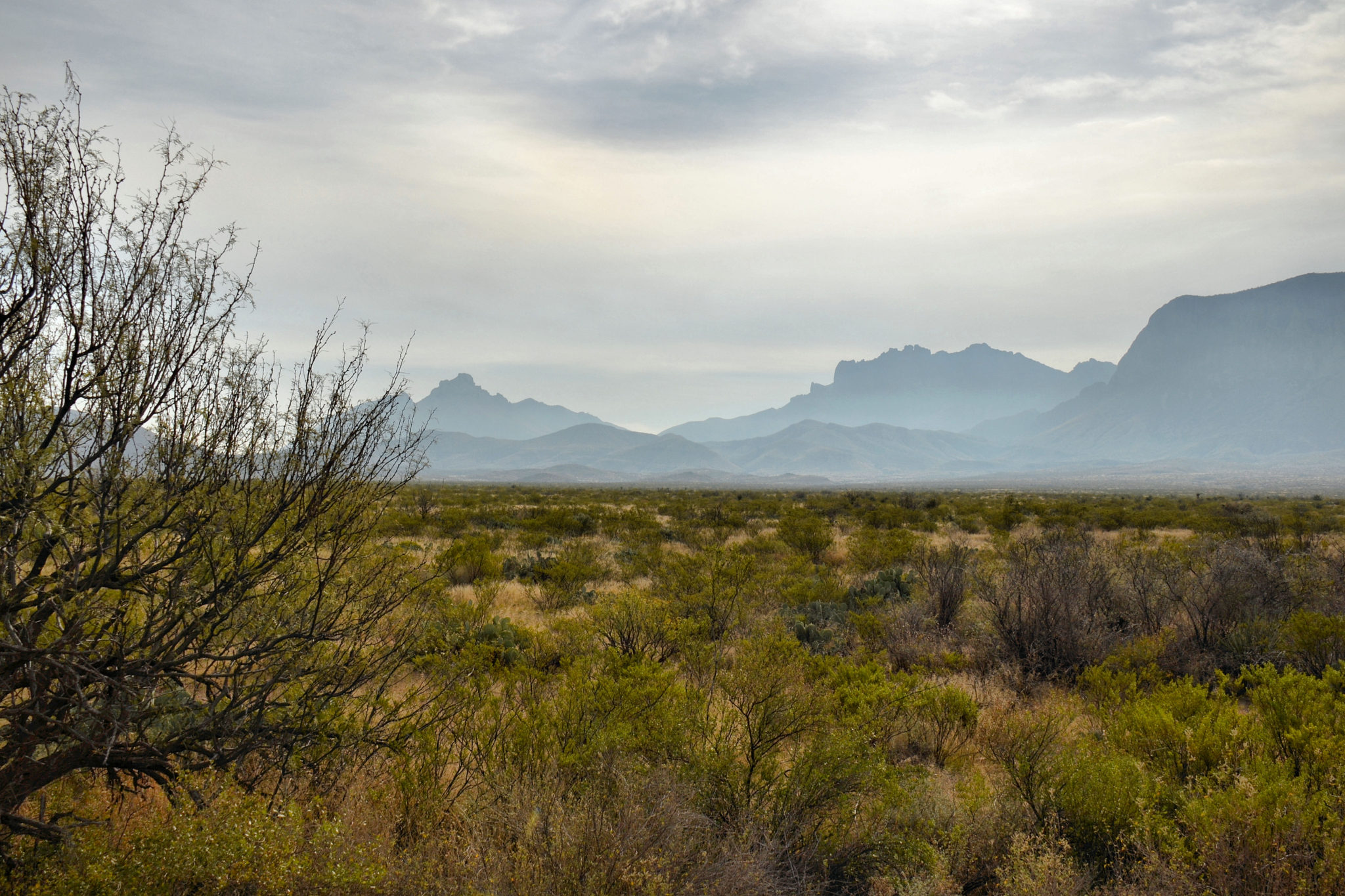 Jagged peaks near the west entrance to Big Bend