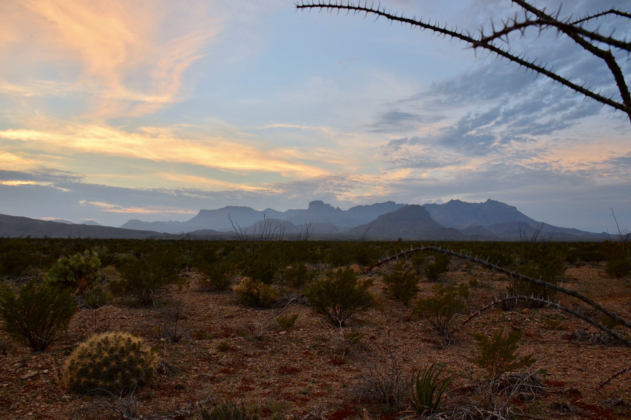 Chisos Mountains at dusk