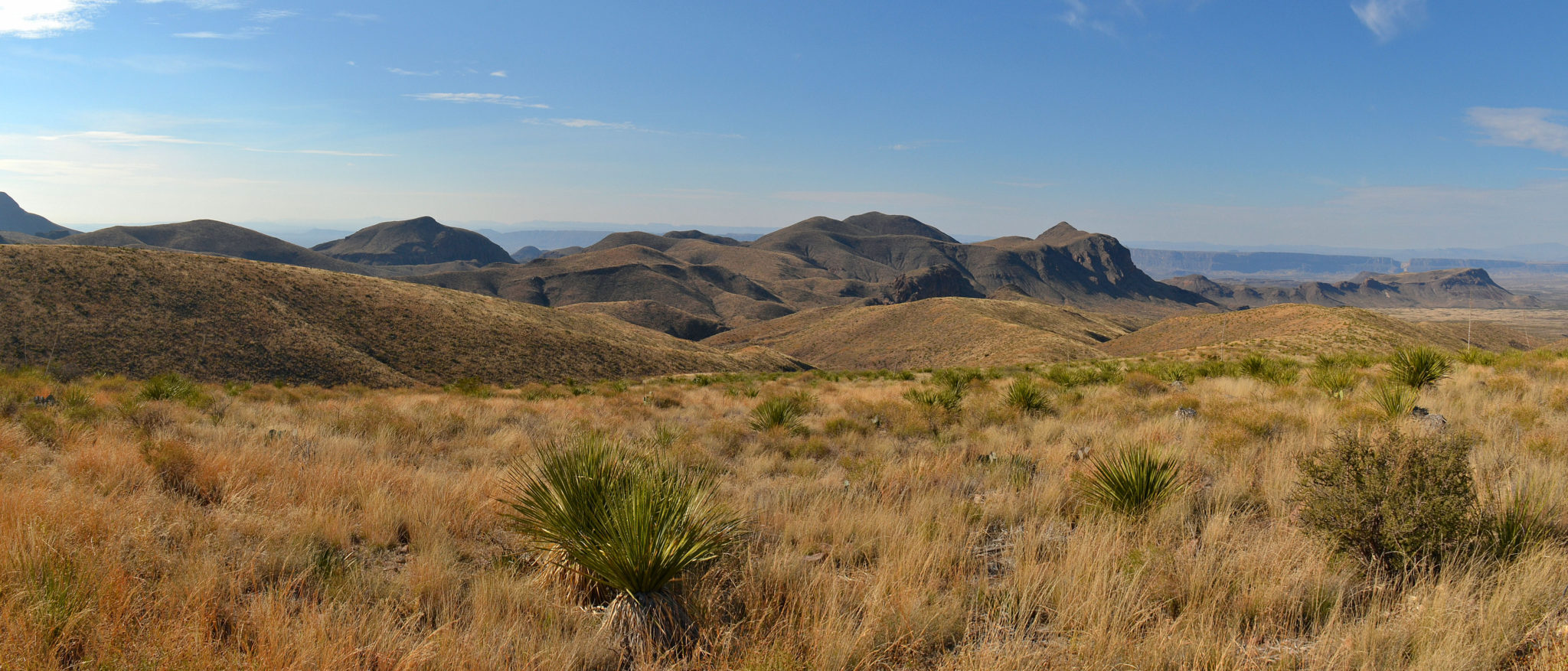 View from Sotol Vista in Big Bend