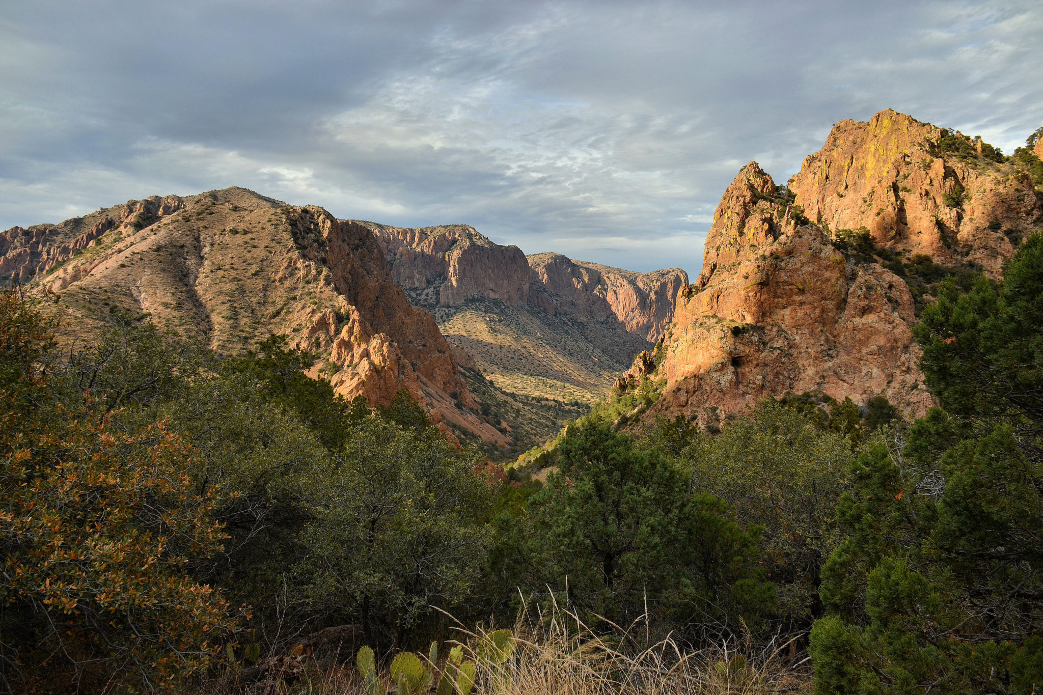 View of the Chisos Mountains from Lost Mine Trail
