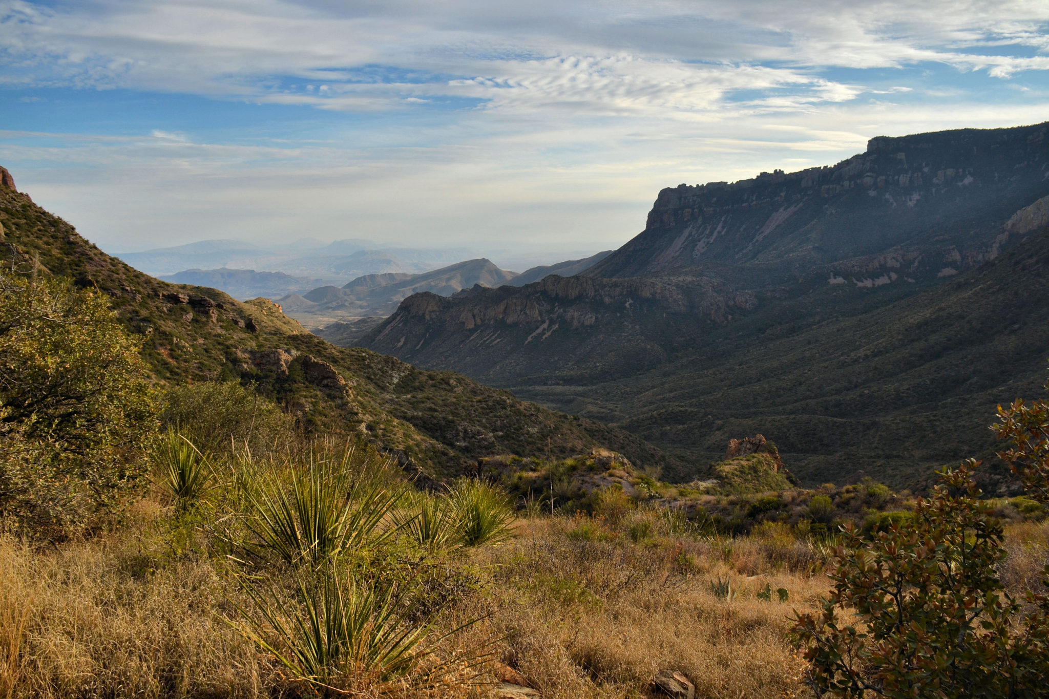 View of Juniper Canyon from Lost Mine Trail in Big Bend