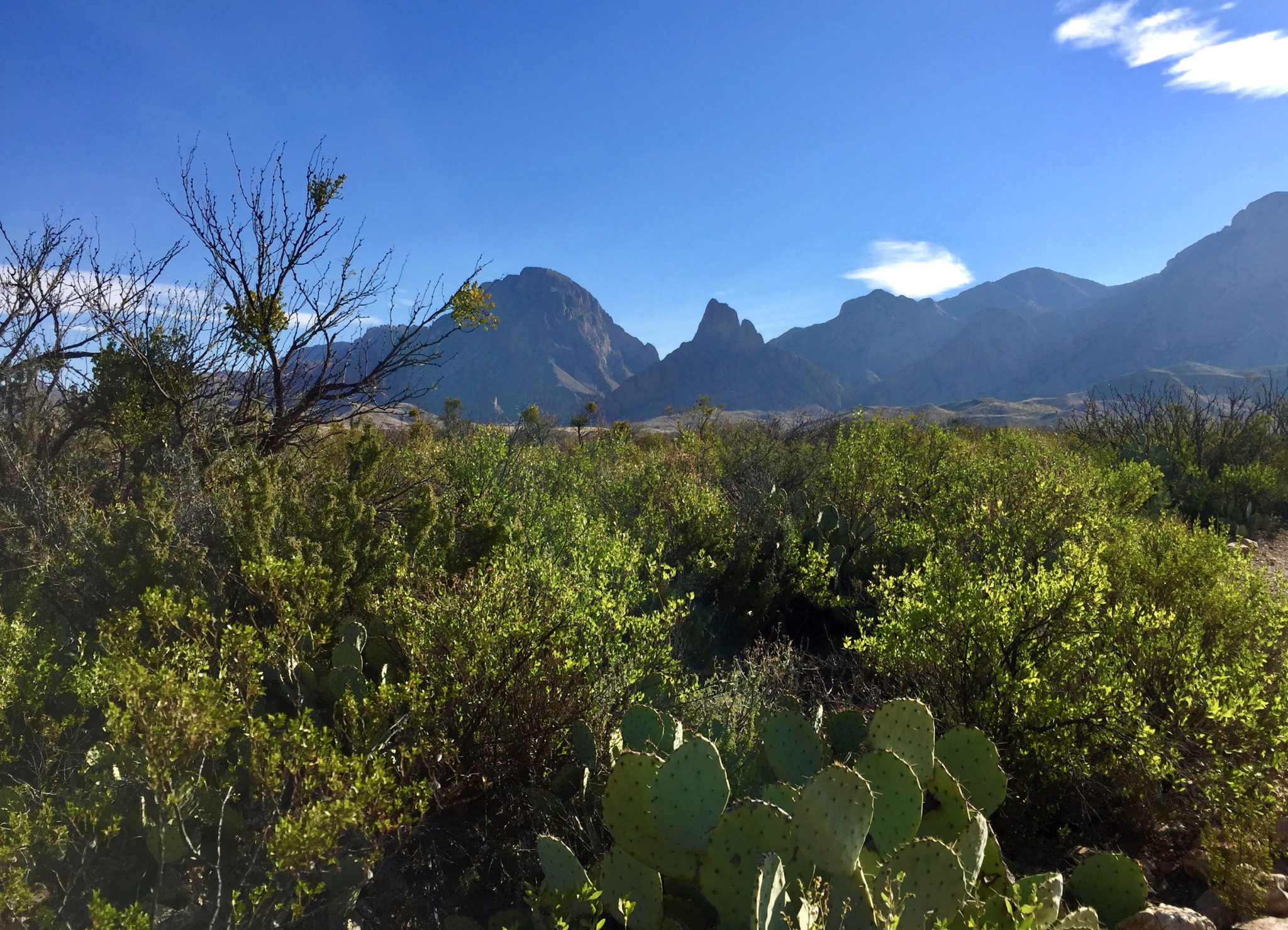 View of Chisos Mountains near Sam Nail Ranch