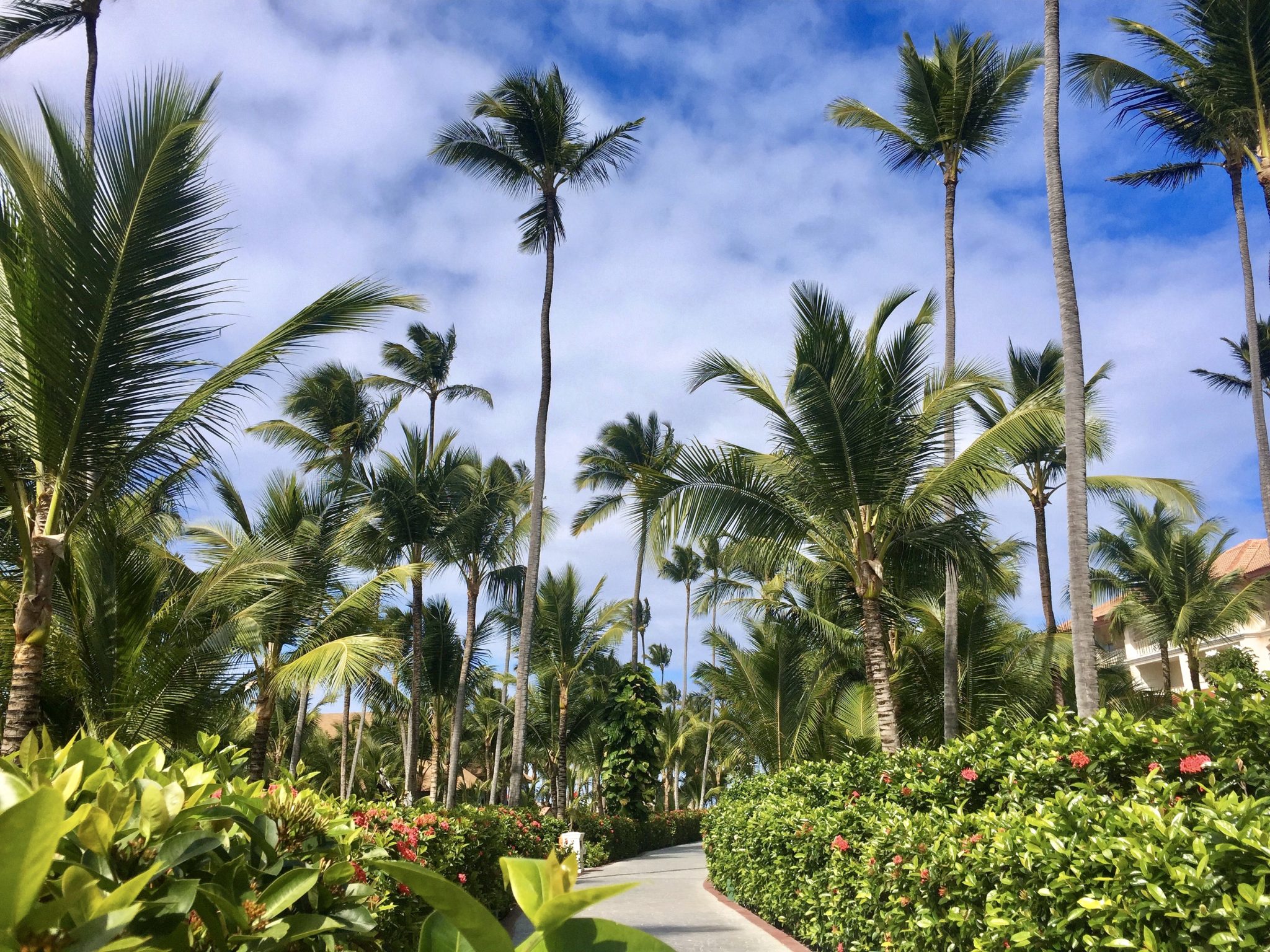 Resort grounds at Majestic Colonial Punta Cana