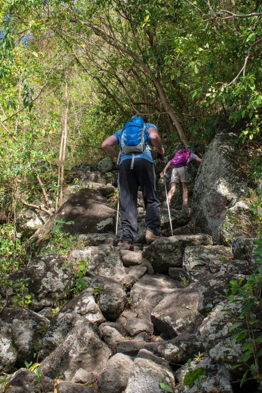 On the Gros Piton trail