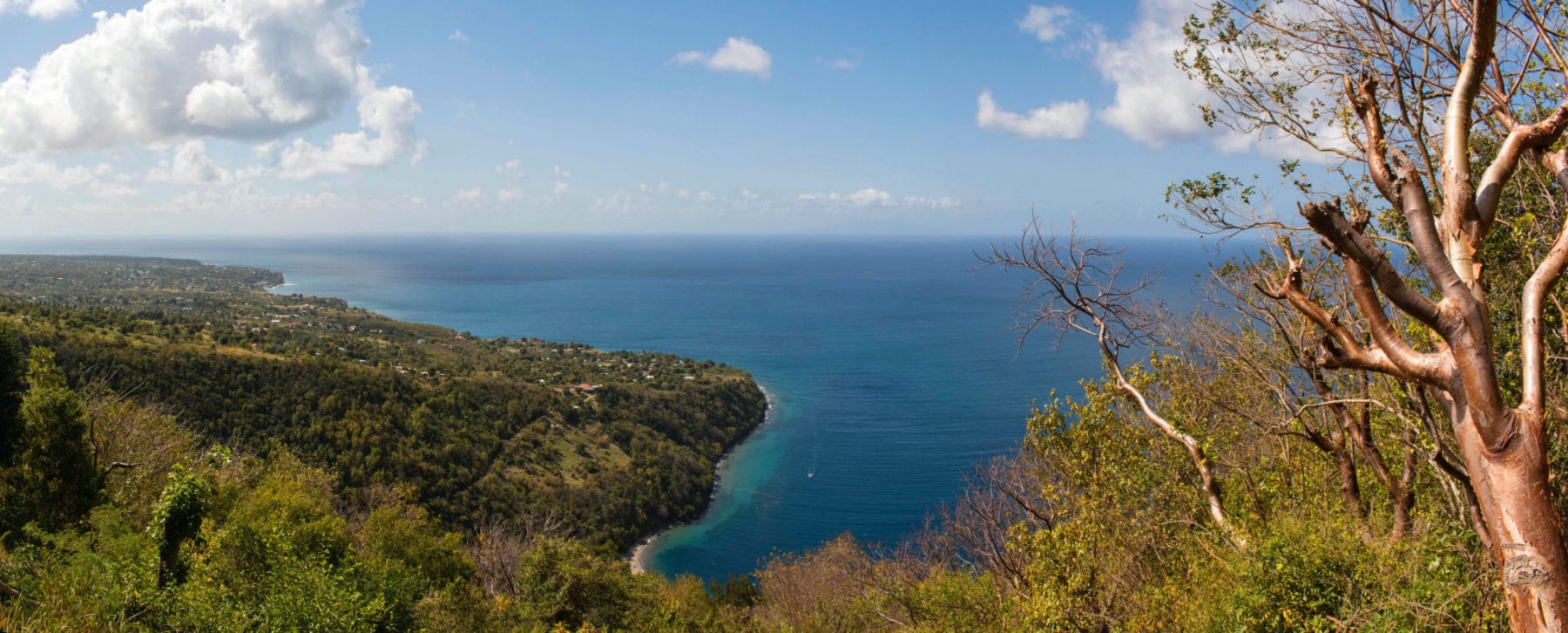Panorama of the Caribbean Sea near St. Lucia