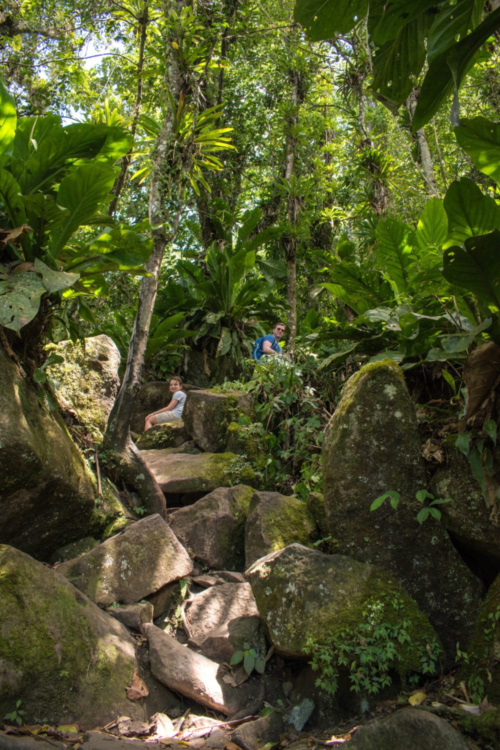 On the trail near the top of Gros Piton