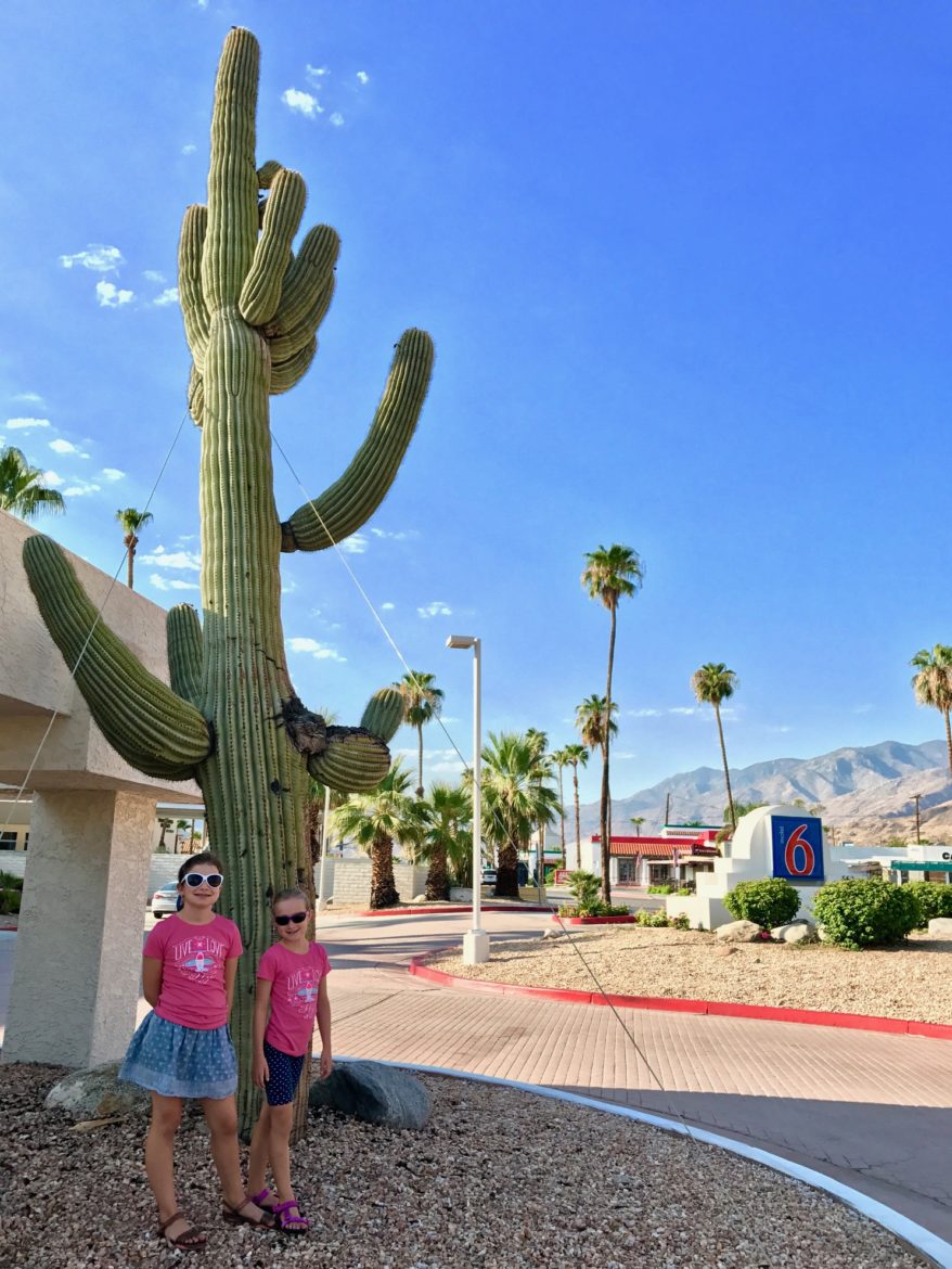 Kids standing near a large cactus near Motel 6 in downtown Palm Springs