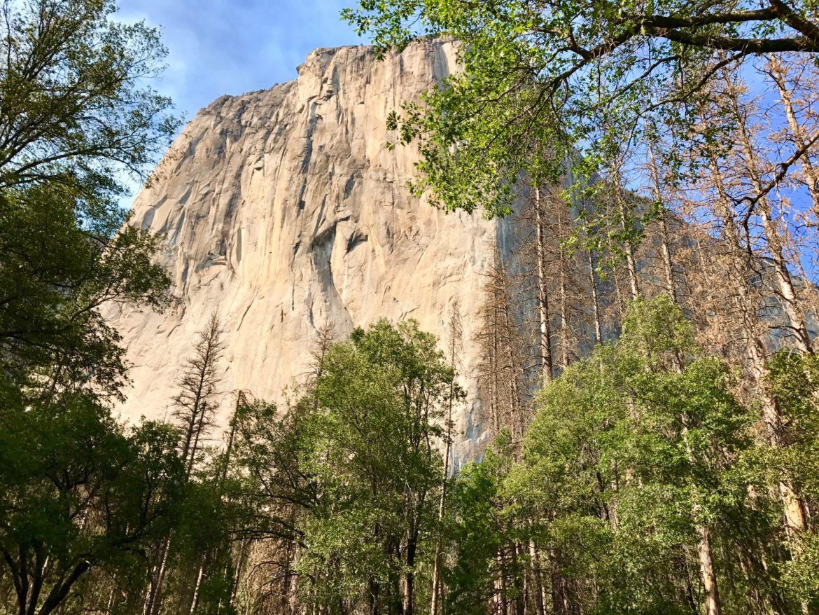 View of El Capitan from Yosemite Valley