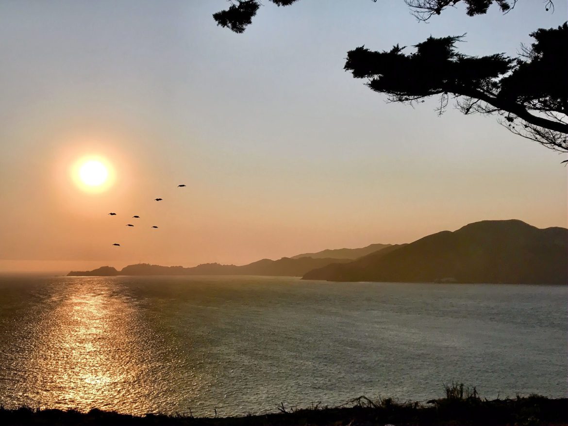 Marin County at sunset and a flock of birds