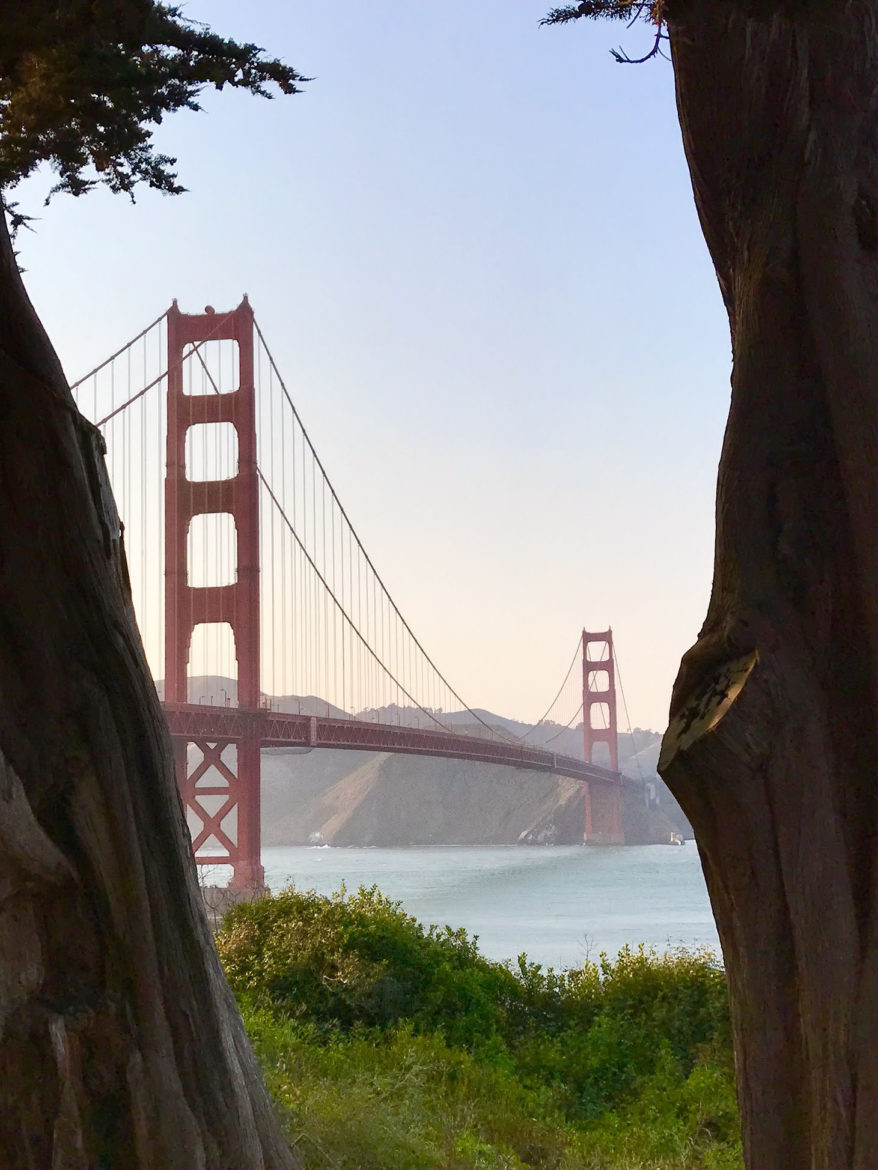 The Golden Gate Bridge peeking between two trees