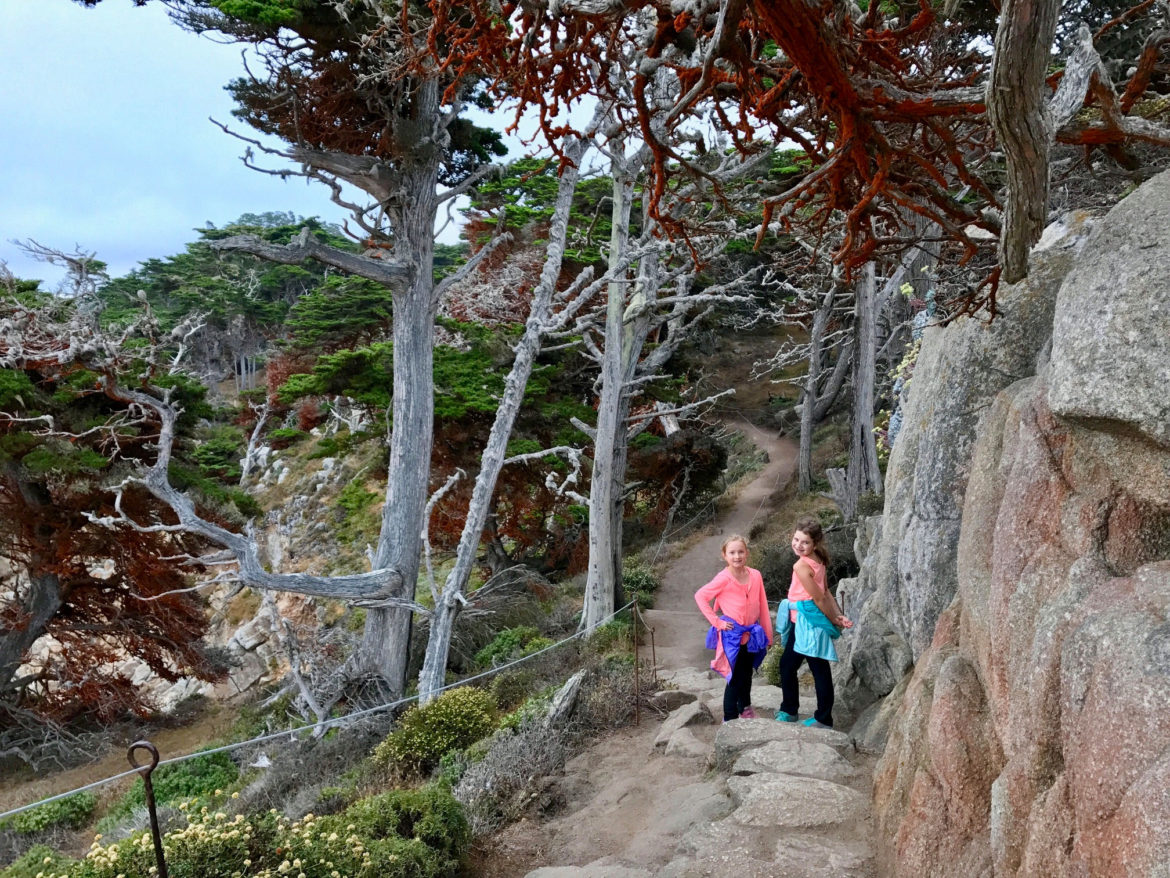 Circling back on Cypress Grove Trail at Point Lobos