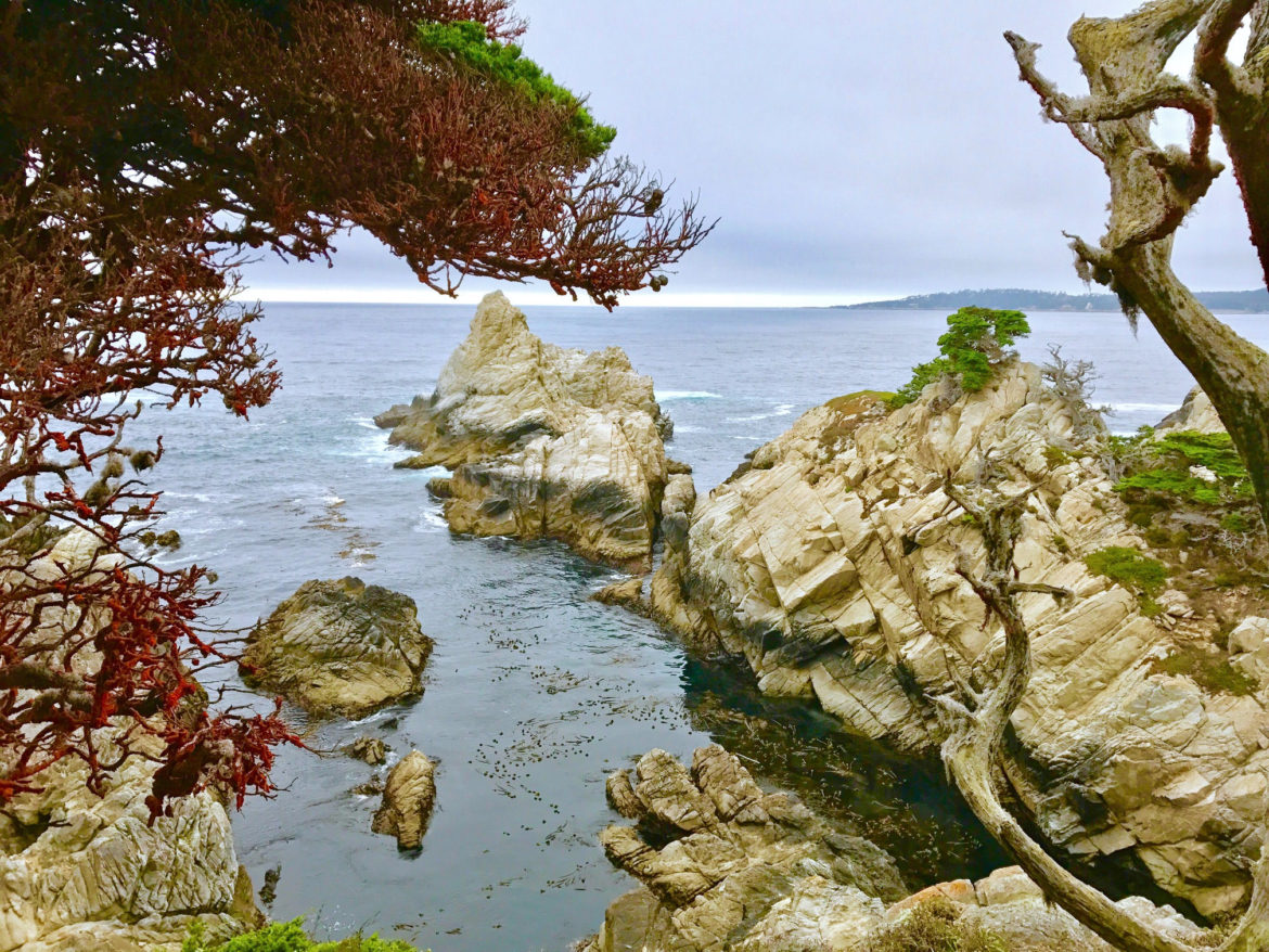 View from Cypress Grove Trail at Point Lobos on the Central California Coast