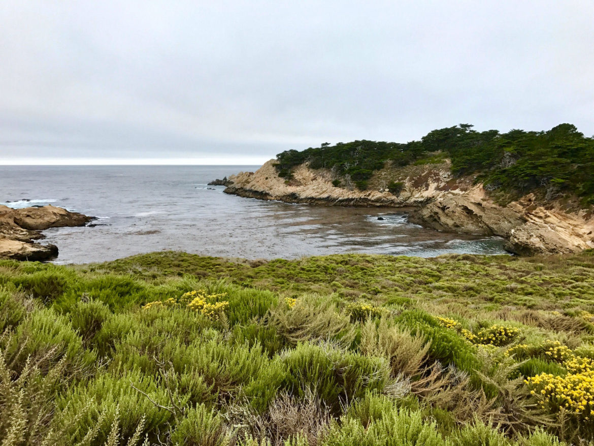 View from Lion Point Trail, Point Lobos, California