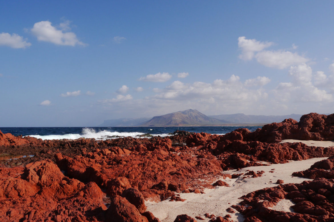 Di Harmi Protected Area on Socotra Island