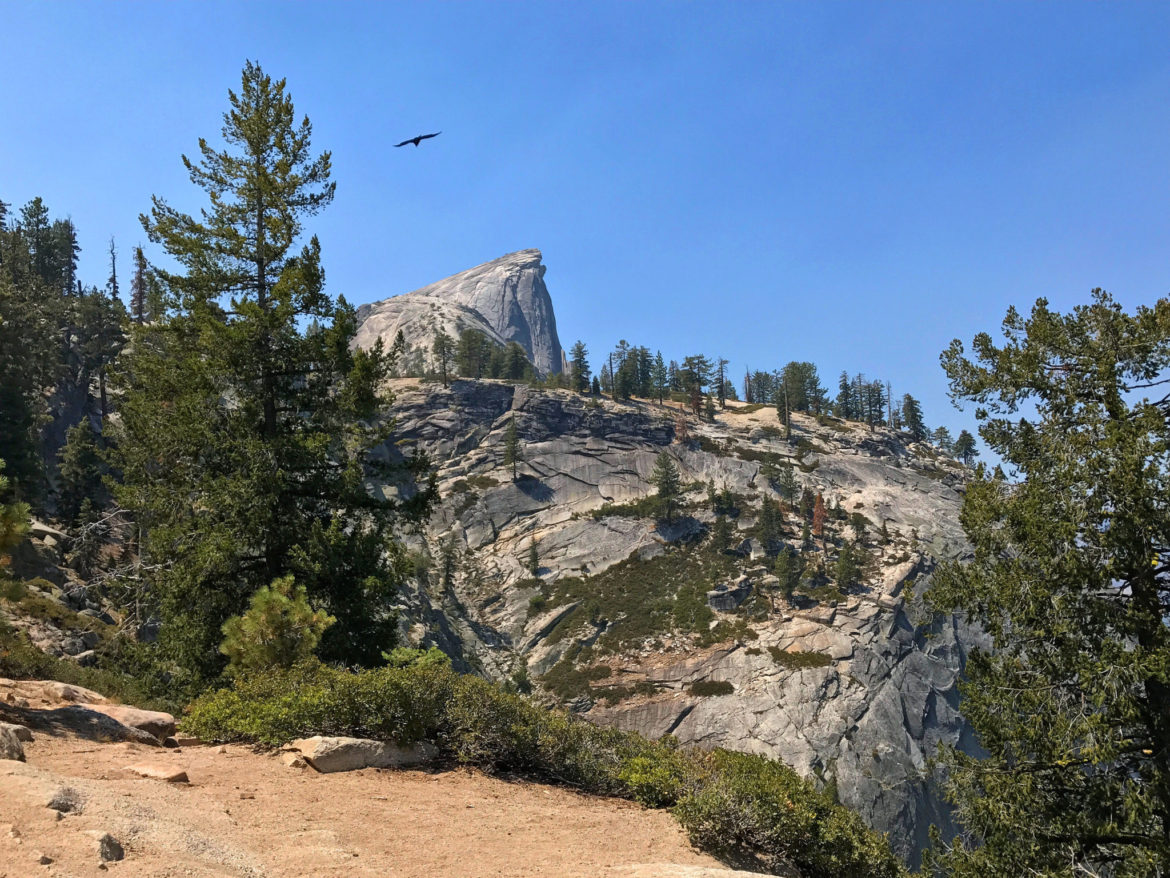 View of the side of Half Dome and the subdome