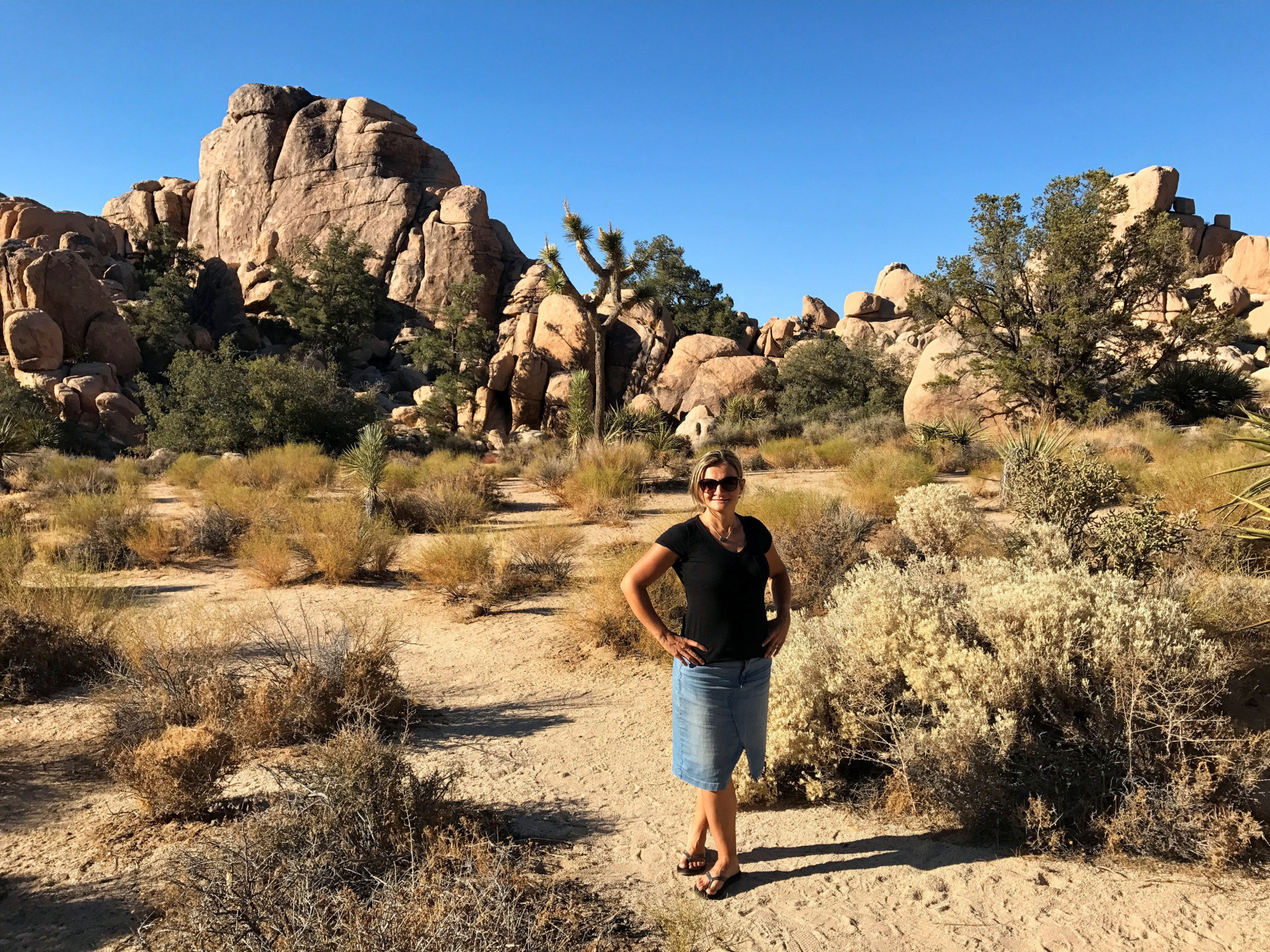 Joshua Tree National Park Six Great Spots You Should See.