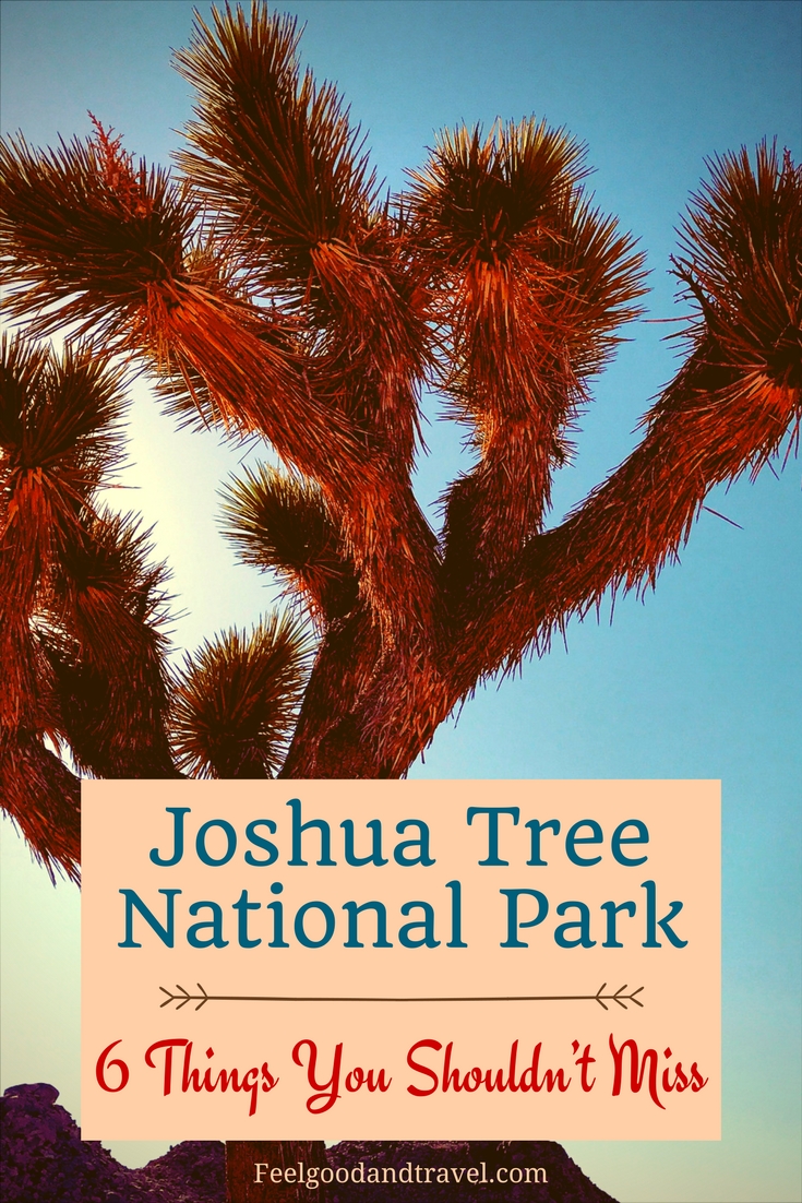 Joshua Tree Pinterest Pin