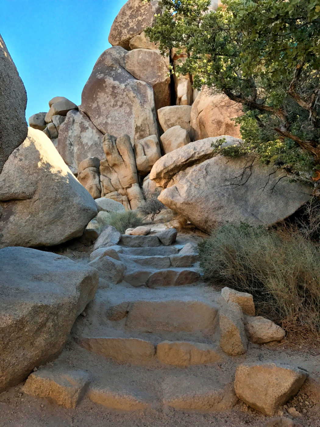 Rocky section on Hidden Valley Trail