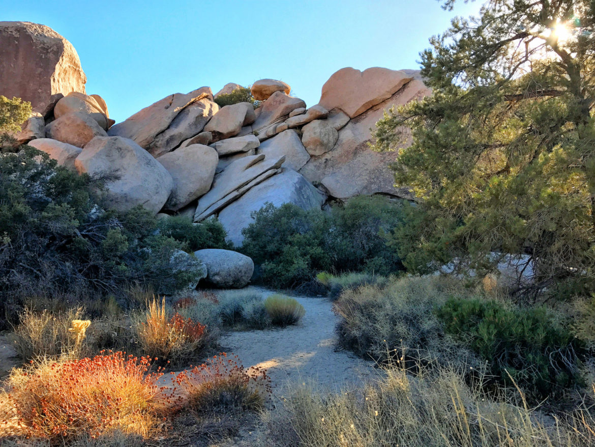 Rock formations along Hidden Valley Trail in Joshua Tree