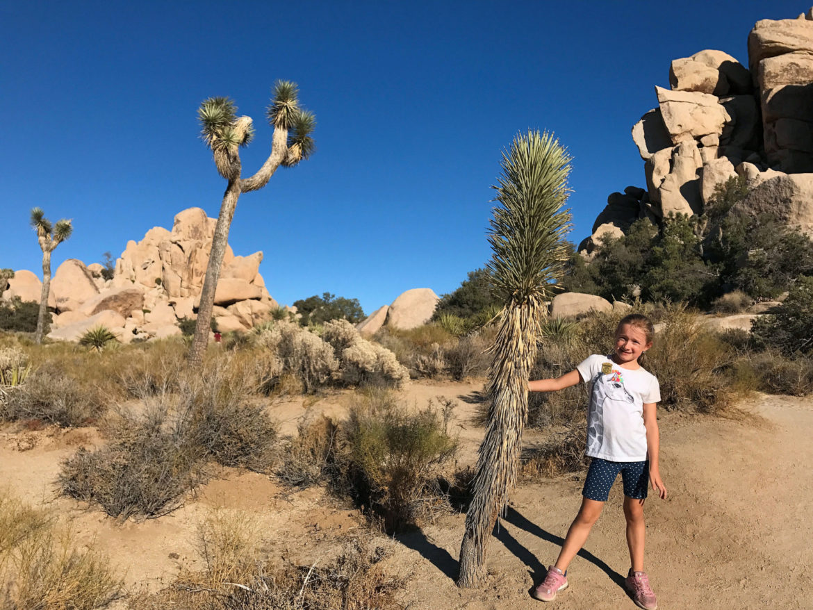 Dani posing near a single-arm branchless Joshua Tree on Hidden Valley Trail
