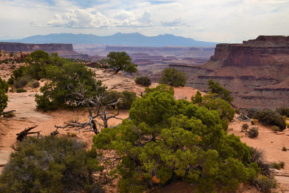 View near Canyonlands Island in the Sky Visitor Center