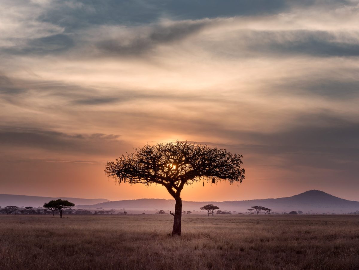 Sunset in Serengeti National Park, Tanzania