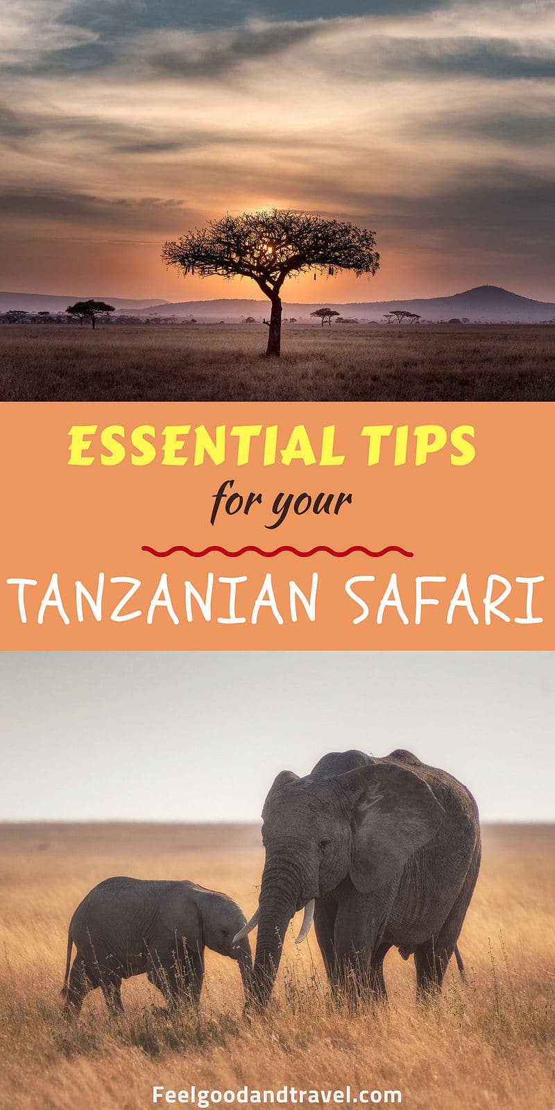 Tanzanian Safari Pinterest Pin