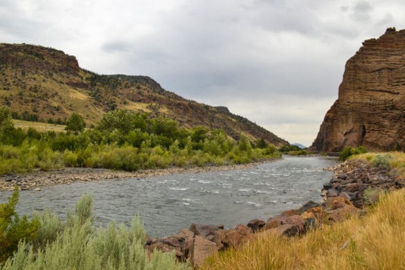 Things to Do in Yellowstone: From the East to the West Entrance