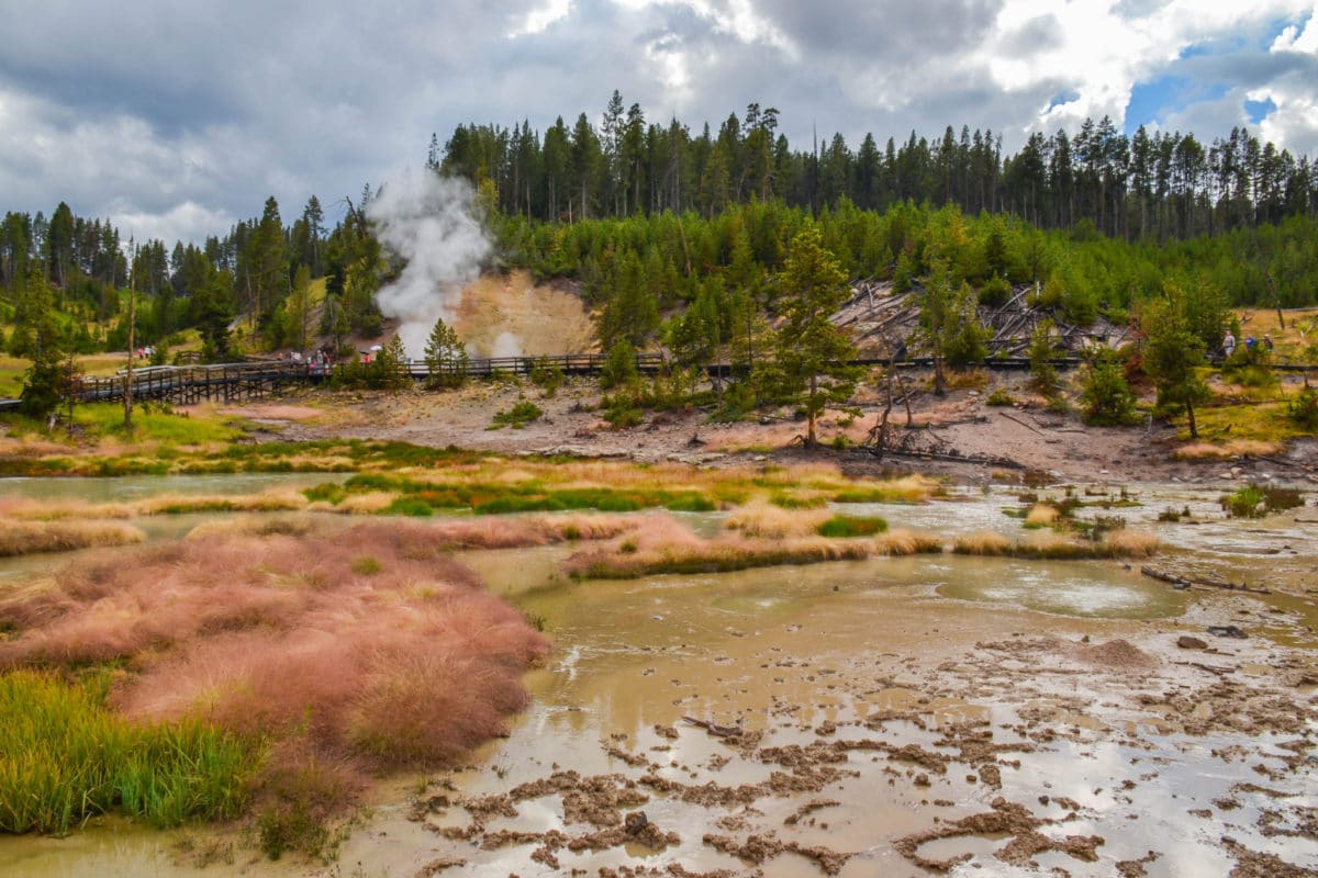 Mud Volcano area in Yellowstone National Park