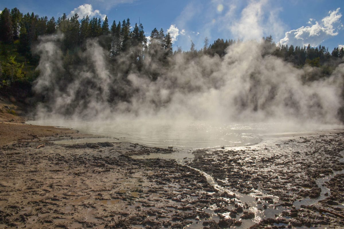 Steaming puddle in Mud Volcano area