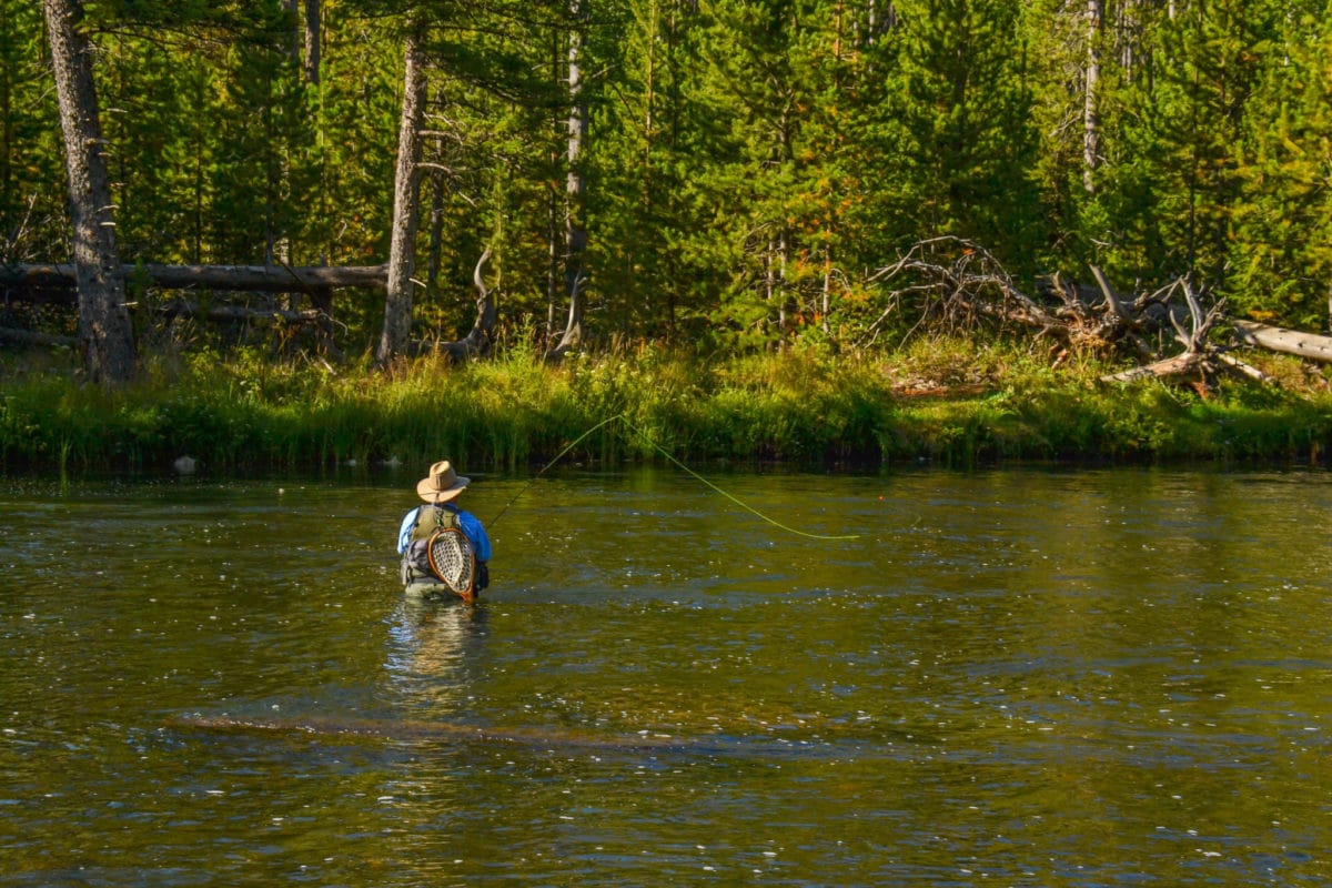Man fly fishing in the Madison River in Yellowstone