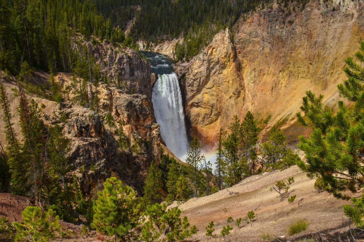 Lower Falls and the Grand Canyon of the Yellowstone from South Rim Trail