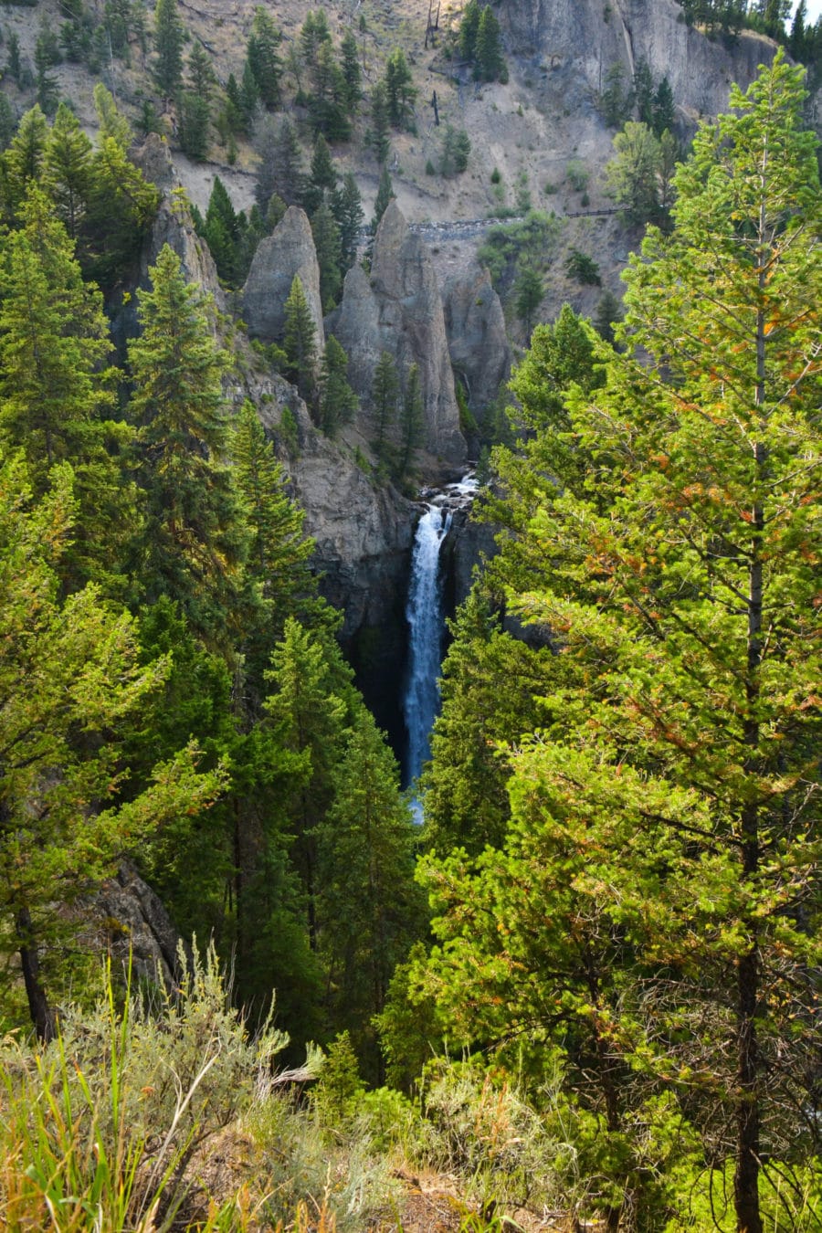 View of Tower Fall in Yellowstone